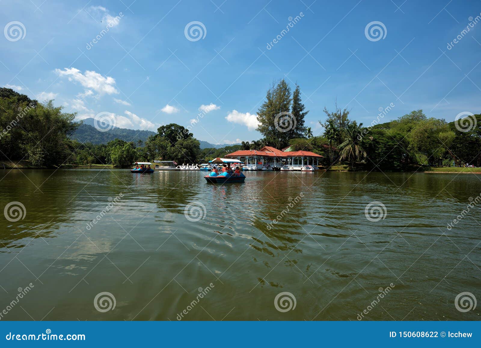 马来西亚太平湖划船活动库存照片 图片包括有