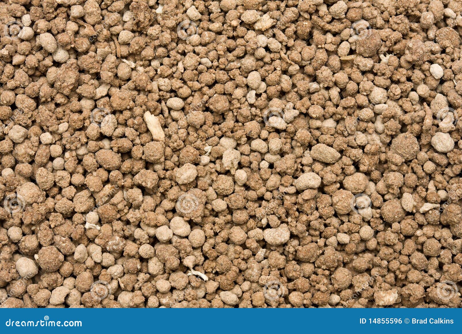 Bone Meal 库存照片 图片包括有 Bone Meal 库存照片 图片包括有