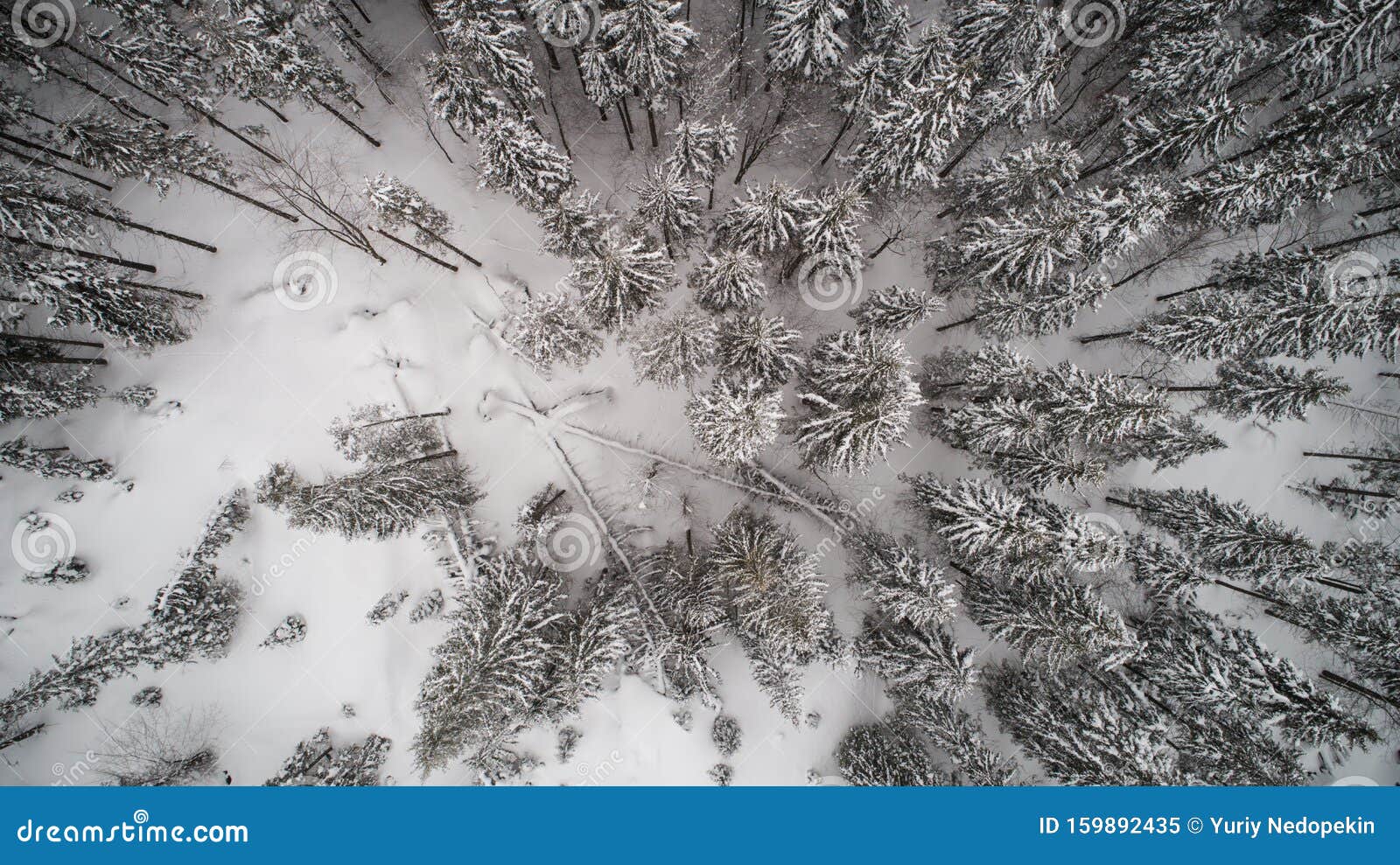 高大雪冷杉的空中美景库存图片 图片包括有欧洲 天堂 室外 天空 横向 飞行 冰川 柔和 高大雪冷杉的空中美景库存图片 图片包括有欧洲 天堂 室外 天空 横向 飞行 冰川 柔和