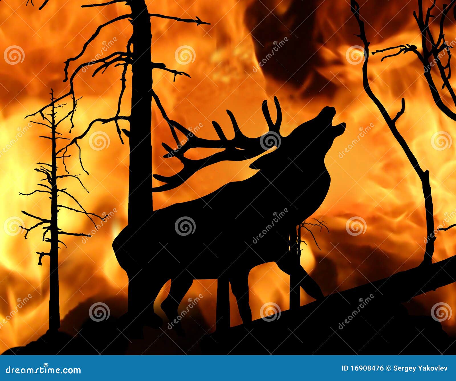 Горящий лось. Горящий лес с животными. Олень в горящем лесу. Олень и пожар. Пожар в лесу с животными.