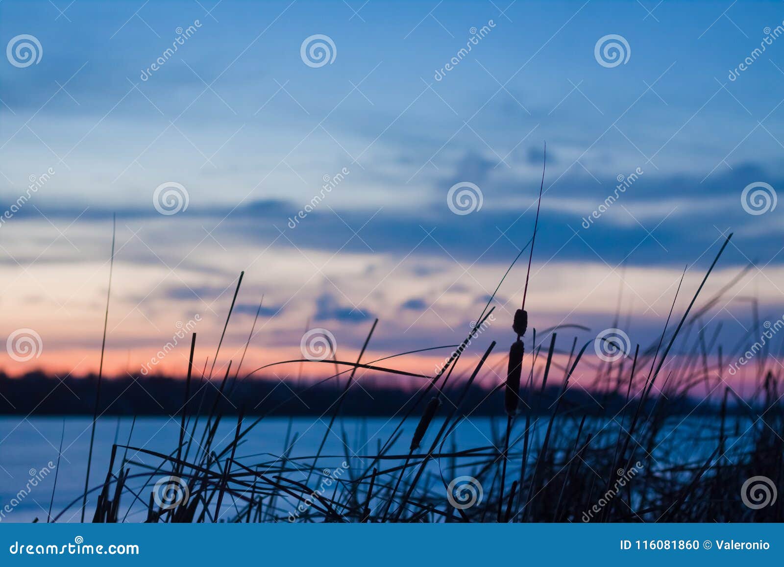 黄昏冬天风景 结冰的湖 纸莎草 蓝色和桃红色天空 深蓝色云彩 冬天 自然全景背景照片库存照片 图片包括有 黄昏冬天风景 结冰的湖 纸莎草 蓝色和桃红色天空 深蓝色云彩 冬天 自然全景背景照片库存照片 图片包括有
