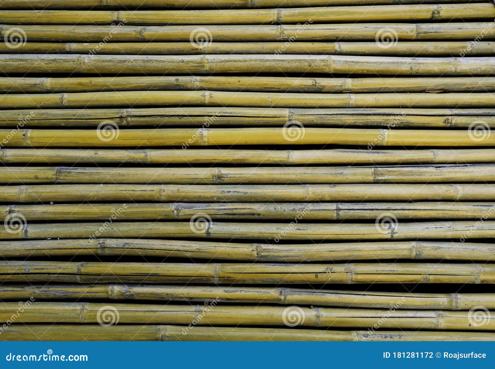 黄竹绿绒纹理地板木质背景泰国的人工天然材料设计没有人库存照片 图片包括有格朗基 本质