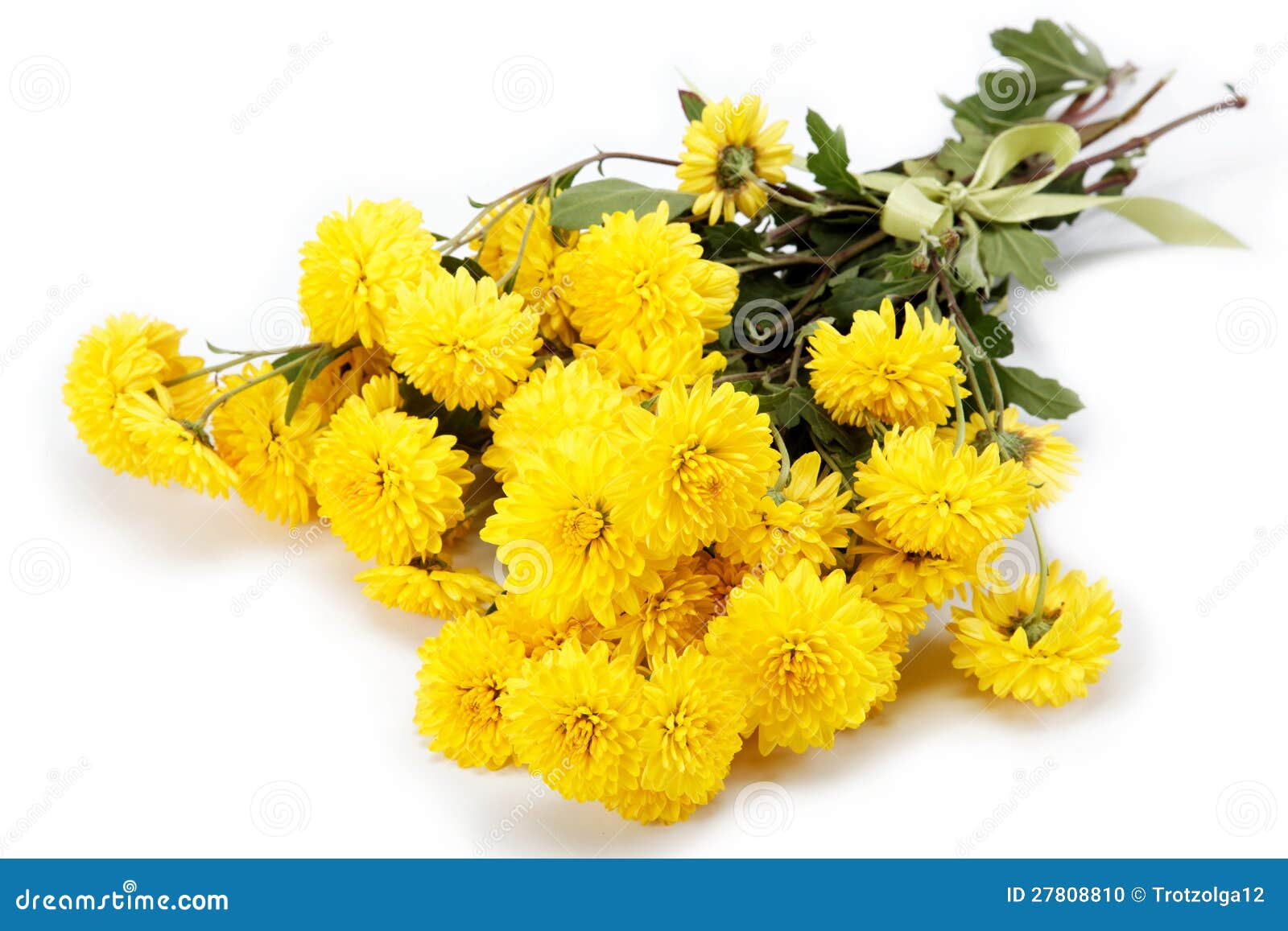 黄色花 菊花花束 库存照片 图片包括有 黄色花 菊花花束 库存照片 图片包括有