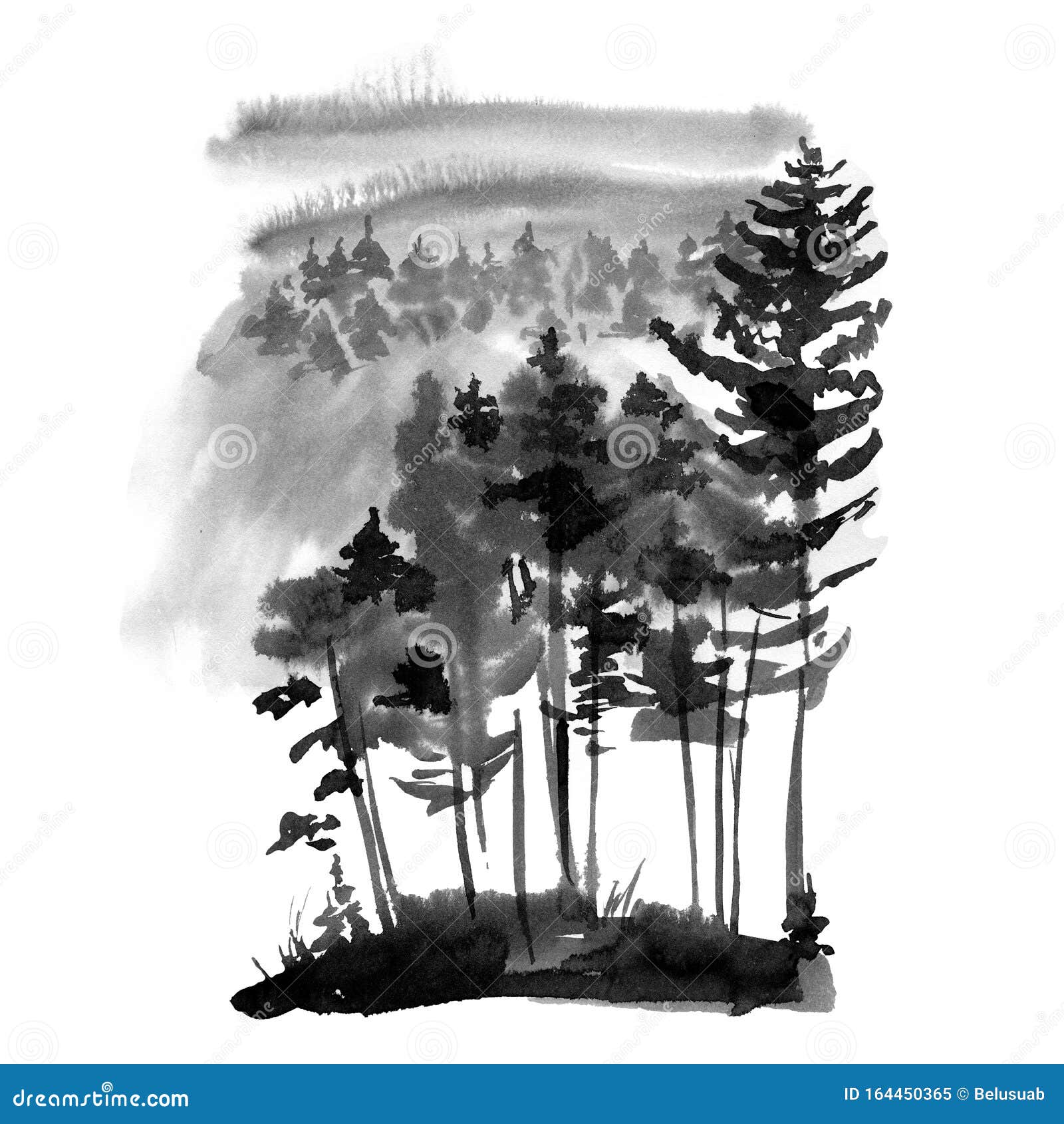 黑白雪地林针叶树冬黑白水彩剪影库存例证 插画包括有新建 北部 绘画 针叶树 看板卡 杉木