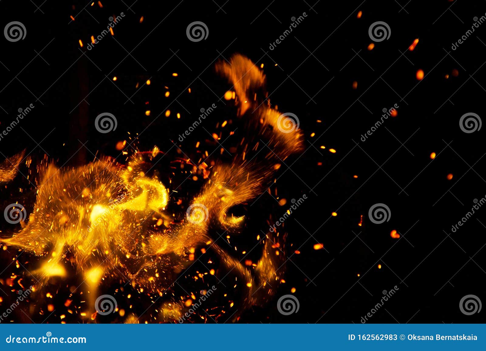 黑背景上有火花的火焰库存图片 图片包括有烧伤 营火 采煤 特征 橙色 火焰 火热 火花