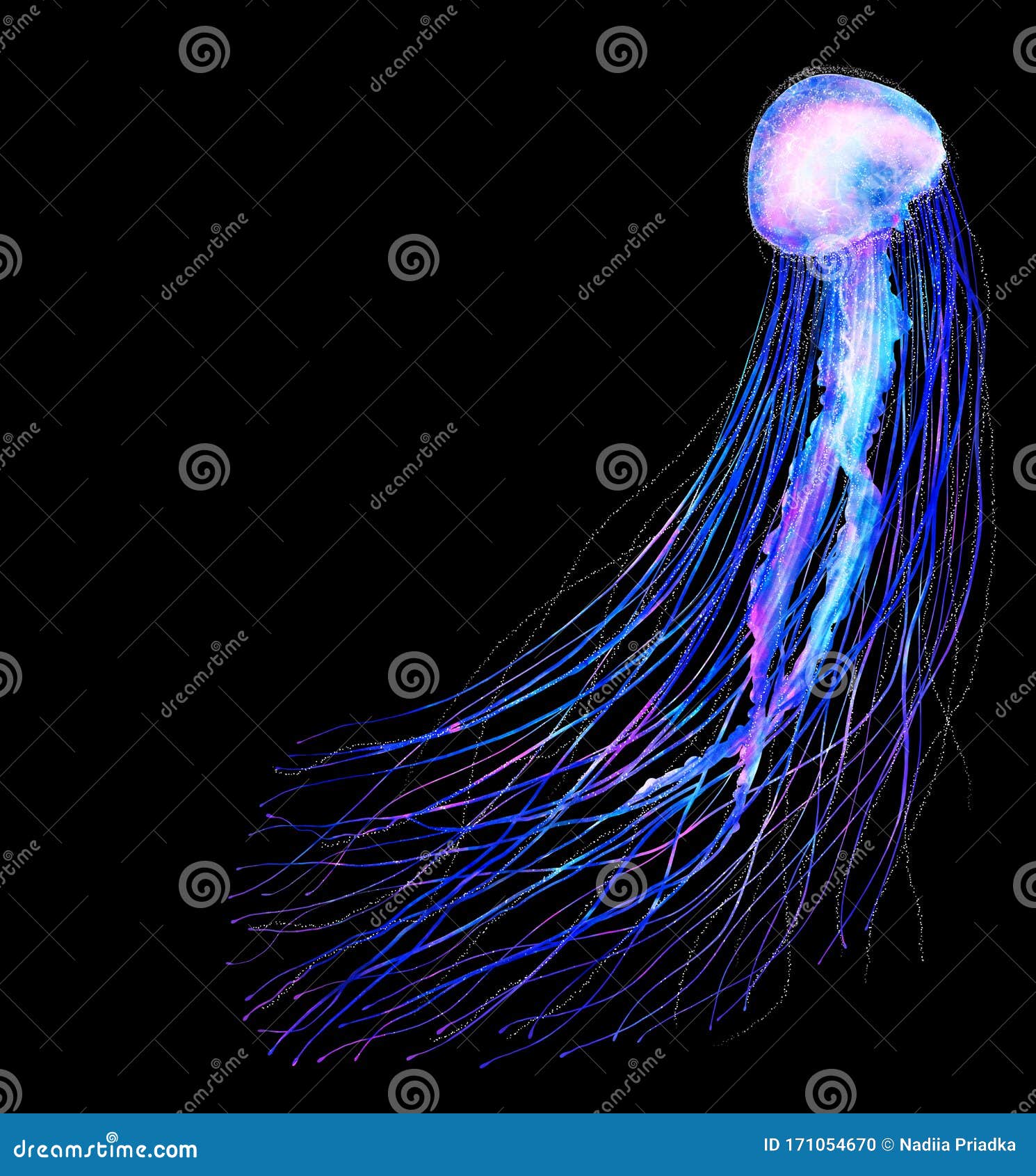 黑色背景中突显的现代明亮霓虹色水彩水母大图库存例证 插画包括有梯度 紫色 深深 未来派 投反对票 黑色背景中突显的现代明亮霓虹色水彩水母大图库存例证 插画包括有梯度 紫色 深深 未来派 投反对票