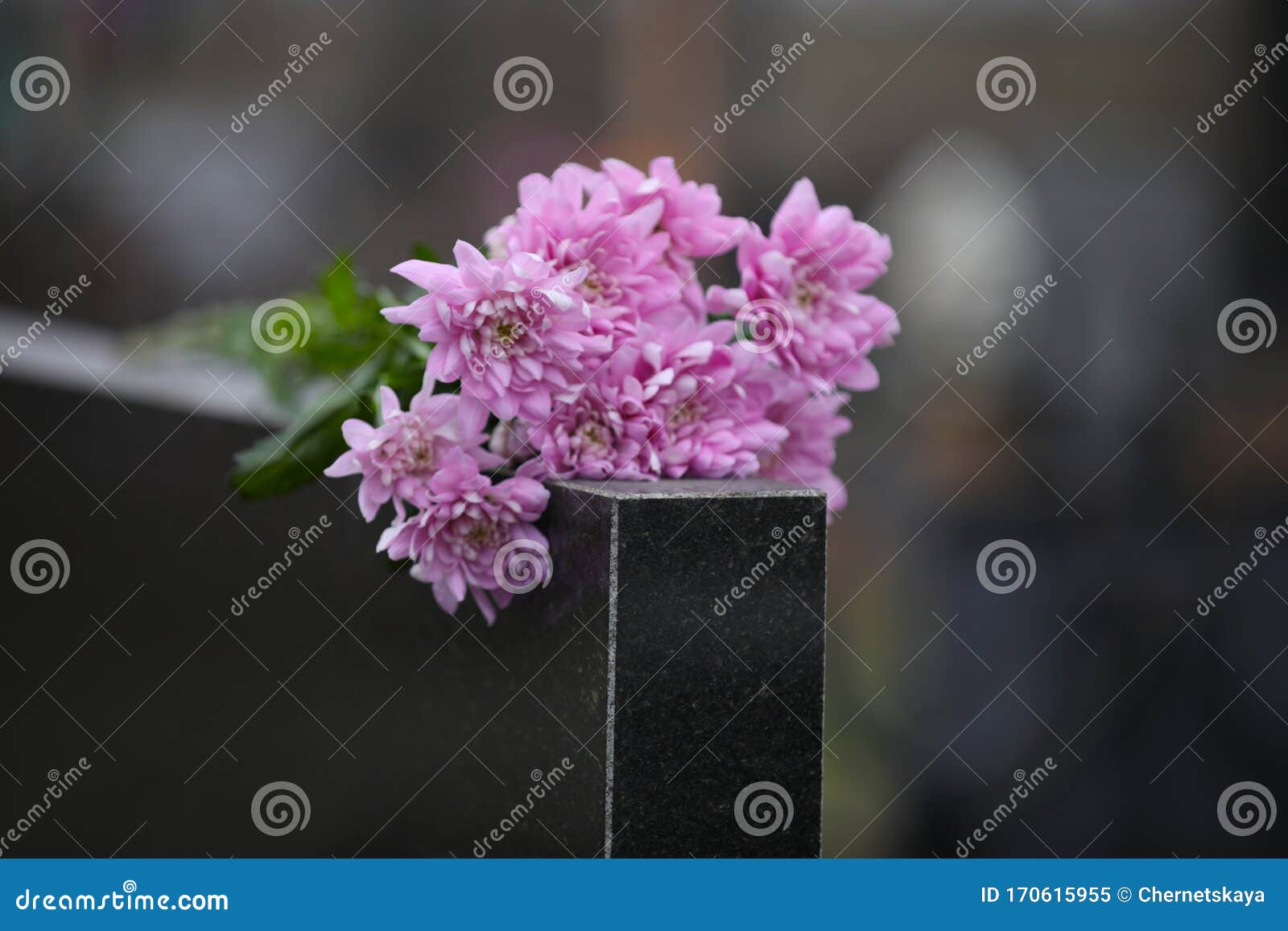 黑花岗墓碑上的菊花葬礼仪式库存图片 图片包括有损失 埋葬 死亡 哀情 墓志铭 墓地 黑花岗墓碑上的菊花葬礼仪式库存图片 图片包括有损失 埋葬 死亡 哀情 墓志铭 墓地