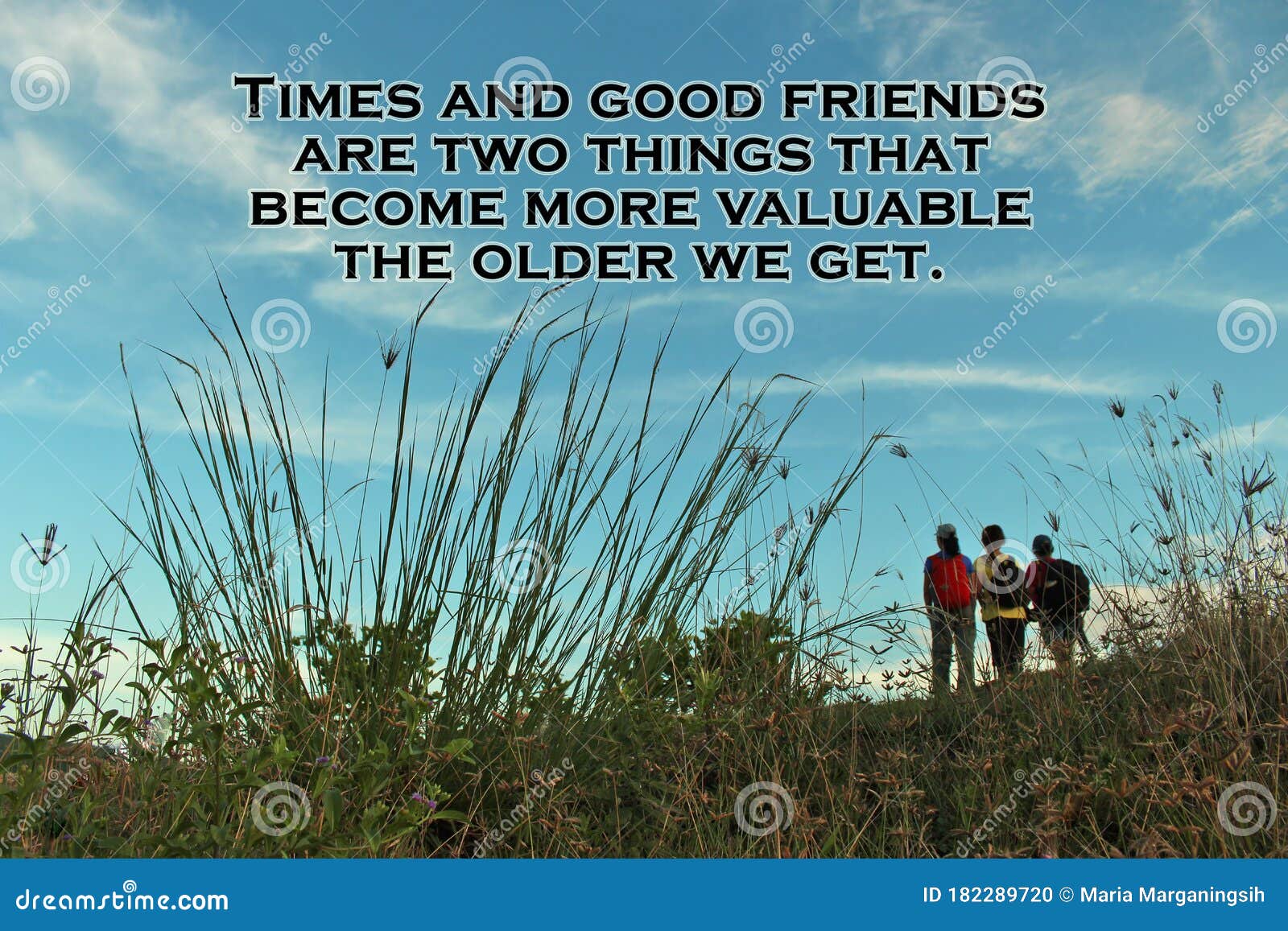 鼓舞人心的引言 时代和好朋友是两样东西 当我们变得年老时 它们变得更有价值带草甸背景库存照片 图片包括有