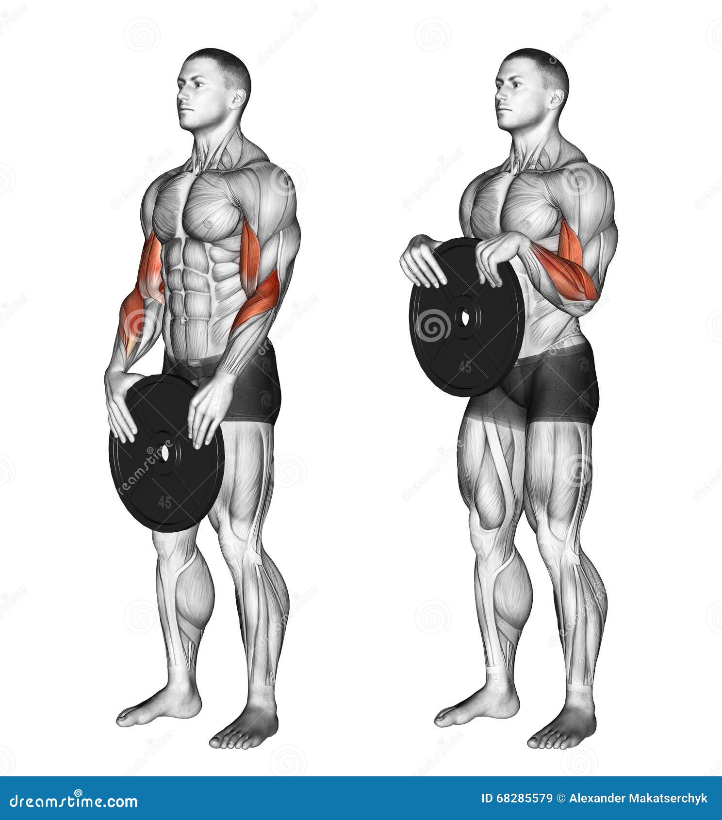 76 Sample Exterior deltoid workout 