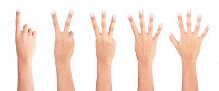 1 2 3 4 5 hand stock image Image of human painting 15978047