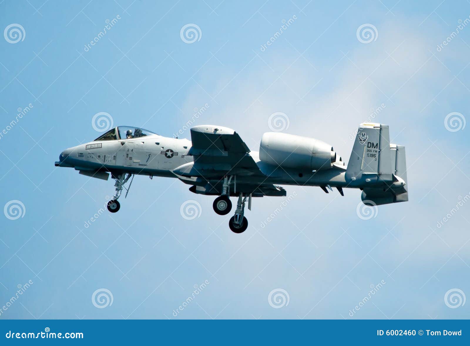 a 10 warthog attack jet