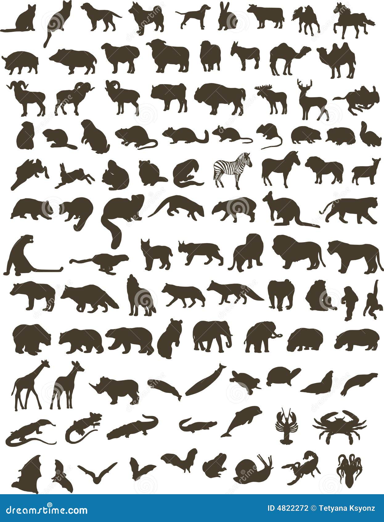 100 animals stock vector. Illustration of chinchilla, crab - 4822272