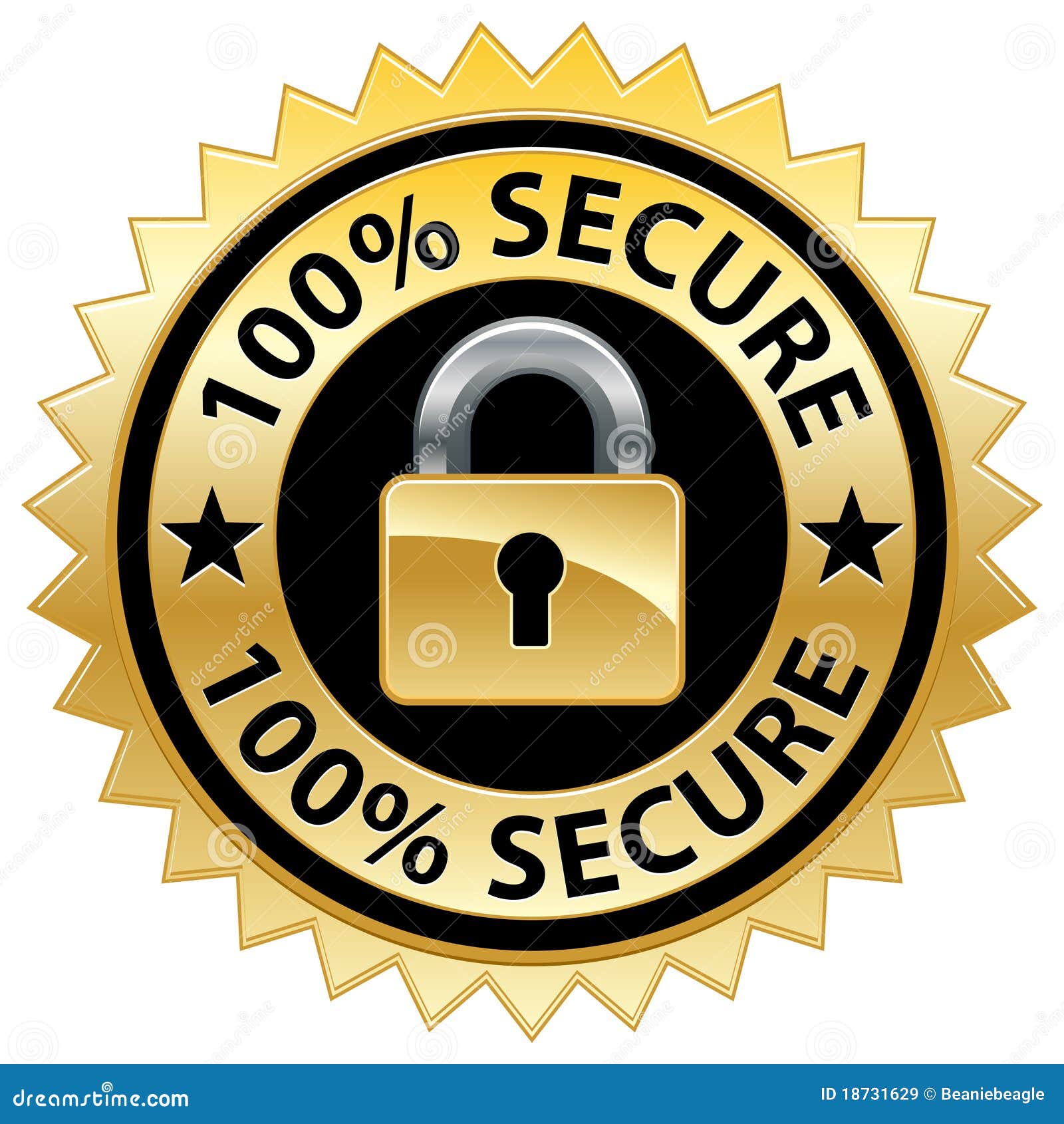 100% secure website seal