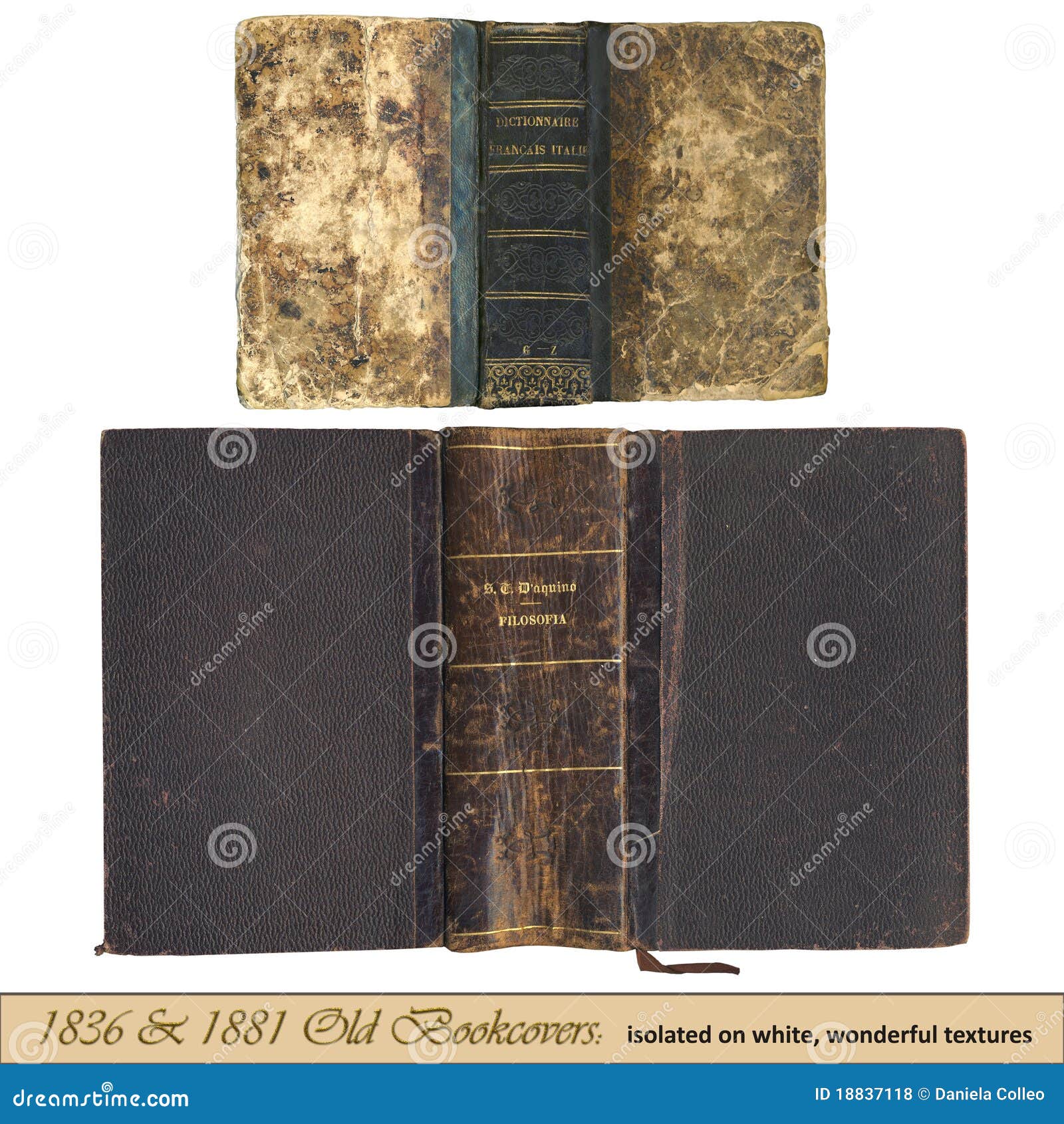 1836 & 1881 old bookcovers