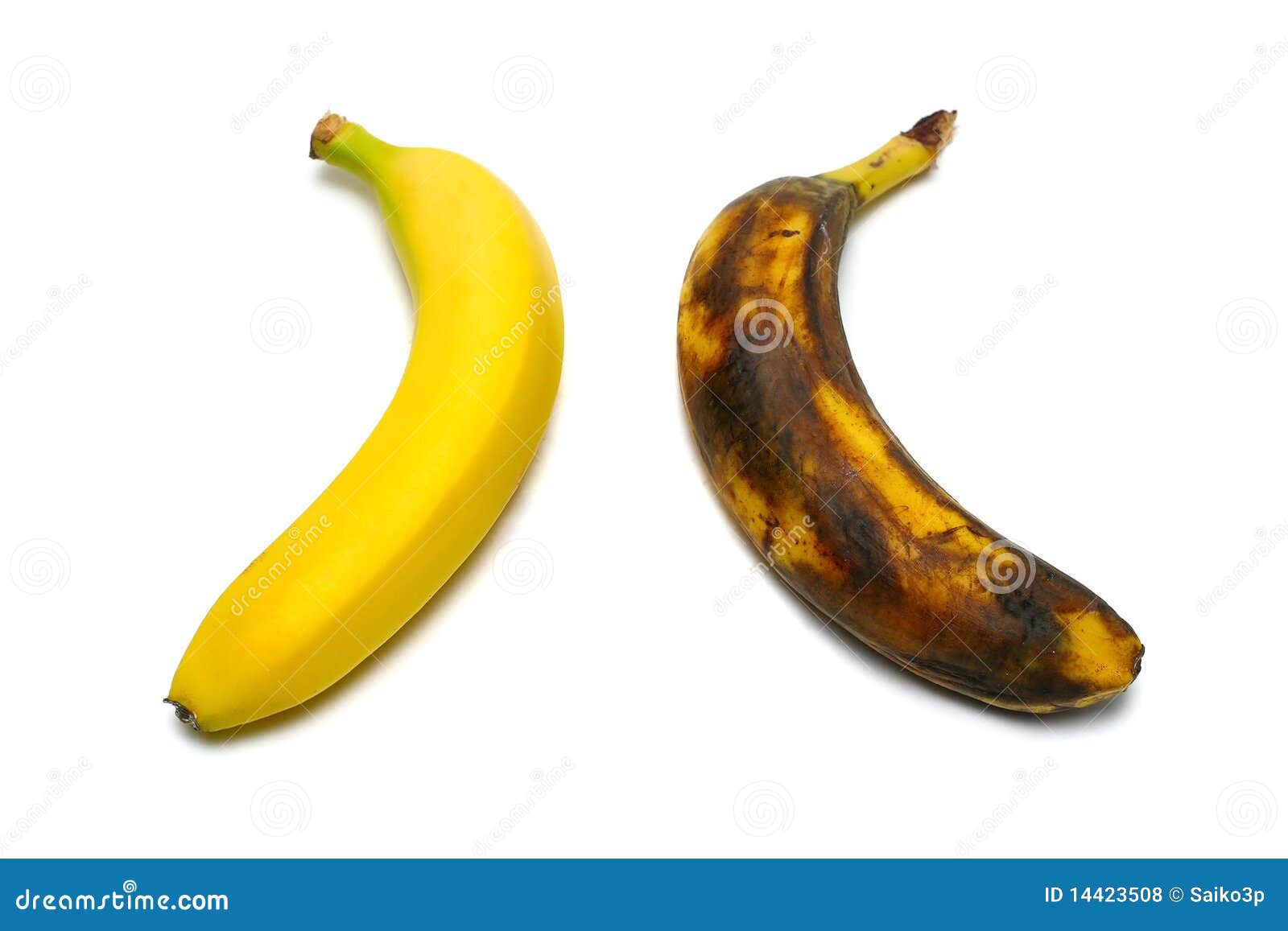 2 bananas isolated stock photo. Image of close, plant - 14423508