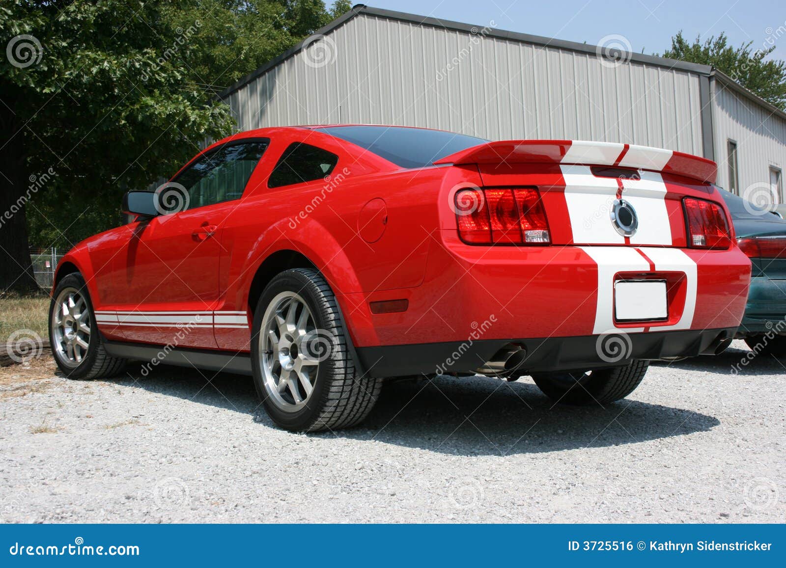 remote control mustang cobra