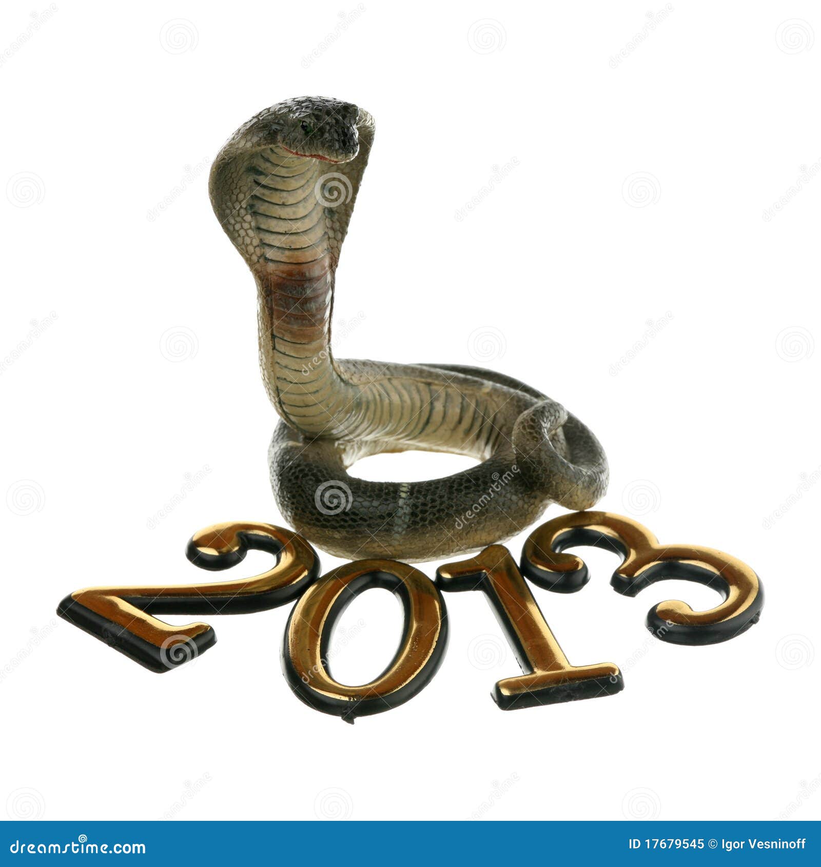 2013 какой змеи. 2013 Год змеи. 2013 Год. Сувениры в год змеи. 2013 Год черного змея.