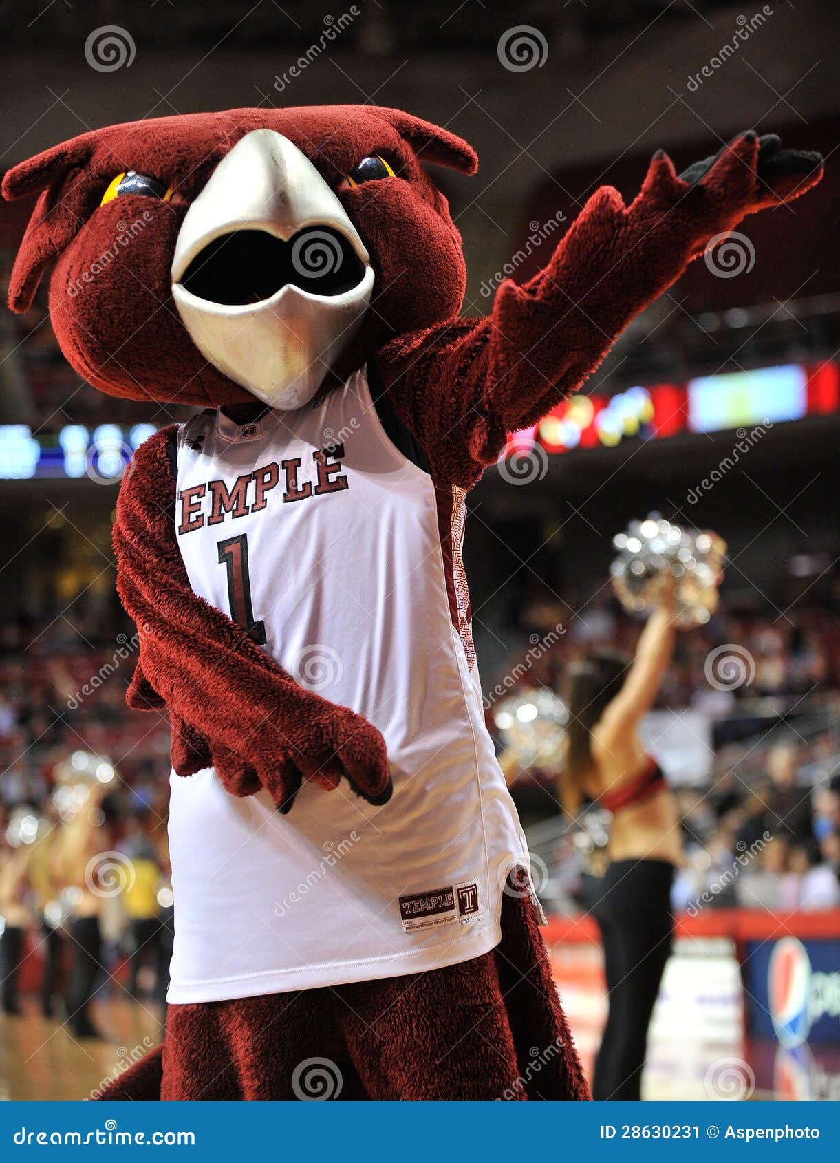 2013 NCAA Baseketball Owl Mascot Editorial Photo Image of game