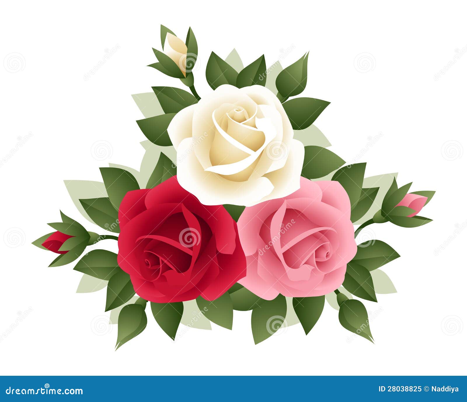 3 розы различных цветов. иллюстрация штока. иллюстрации насчитывающей  цветок - 28038825