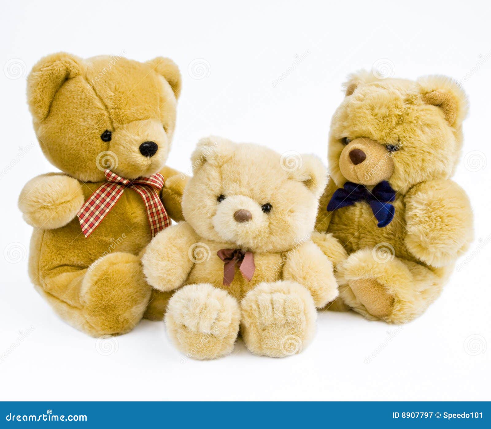 photography group themes Royalty 8907797  Image: Teddies 3 Free Stock Photography