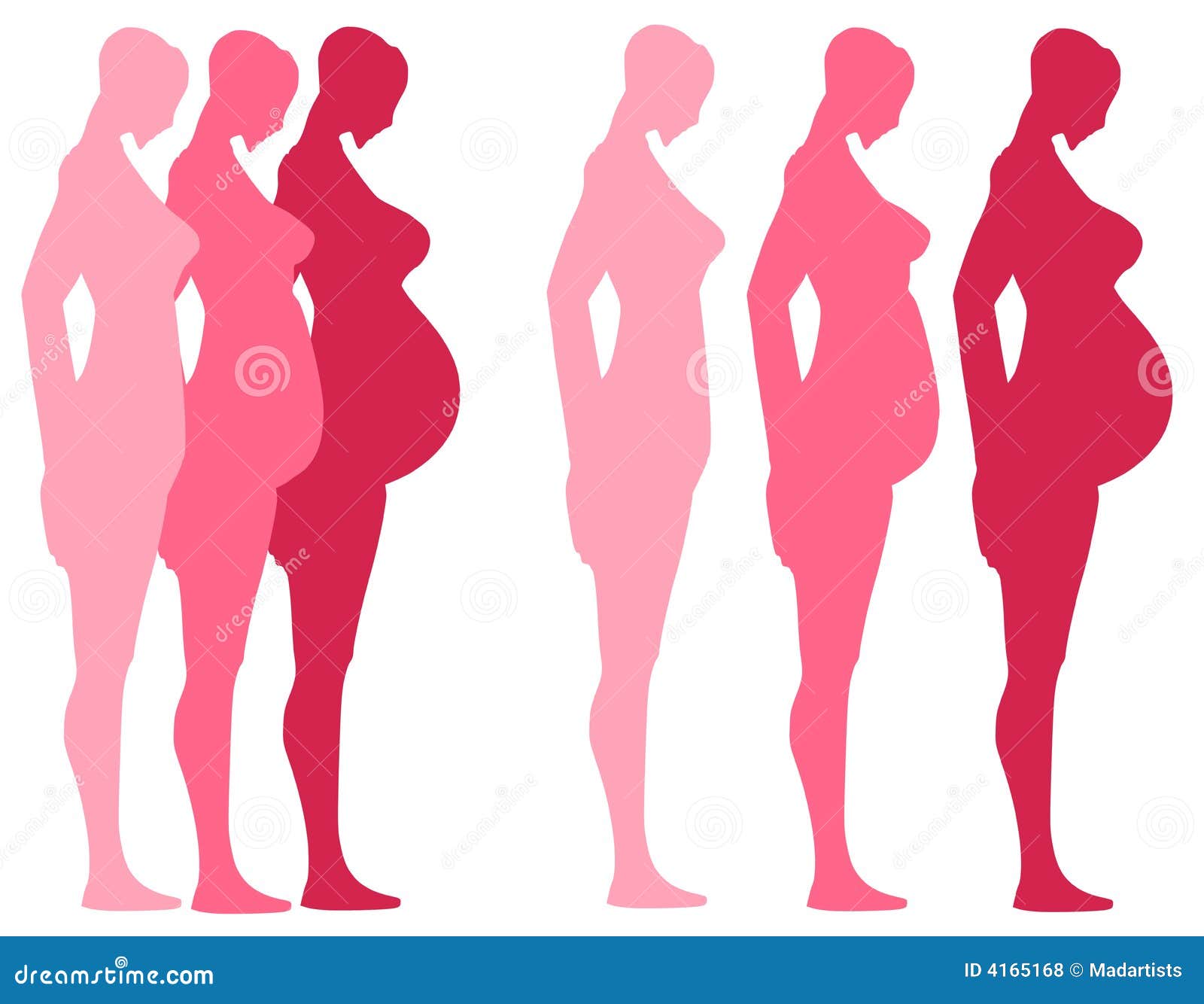 3 trimesters van Zwangerschap. Een illustratie die van de klemkunst vrouwelijke silhouetten kenmerkt die de 3 stadia van zwangerschap met inbegrip van het kweken van buik en borst tonen rangschikt - uw keus van gelaagde of individuele silhouetten