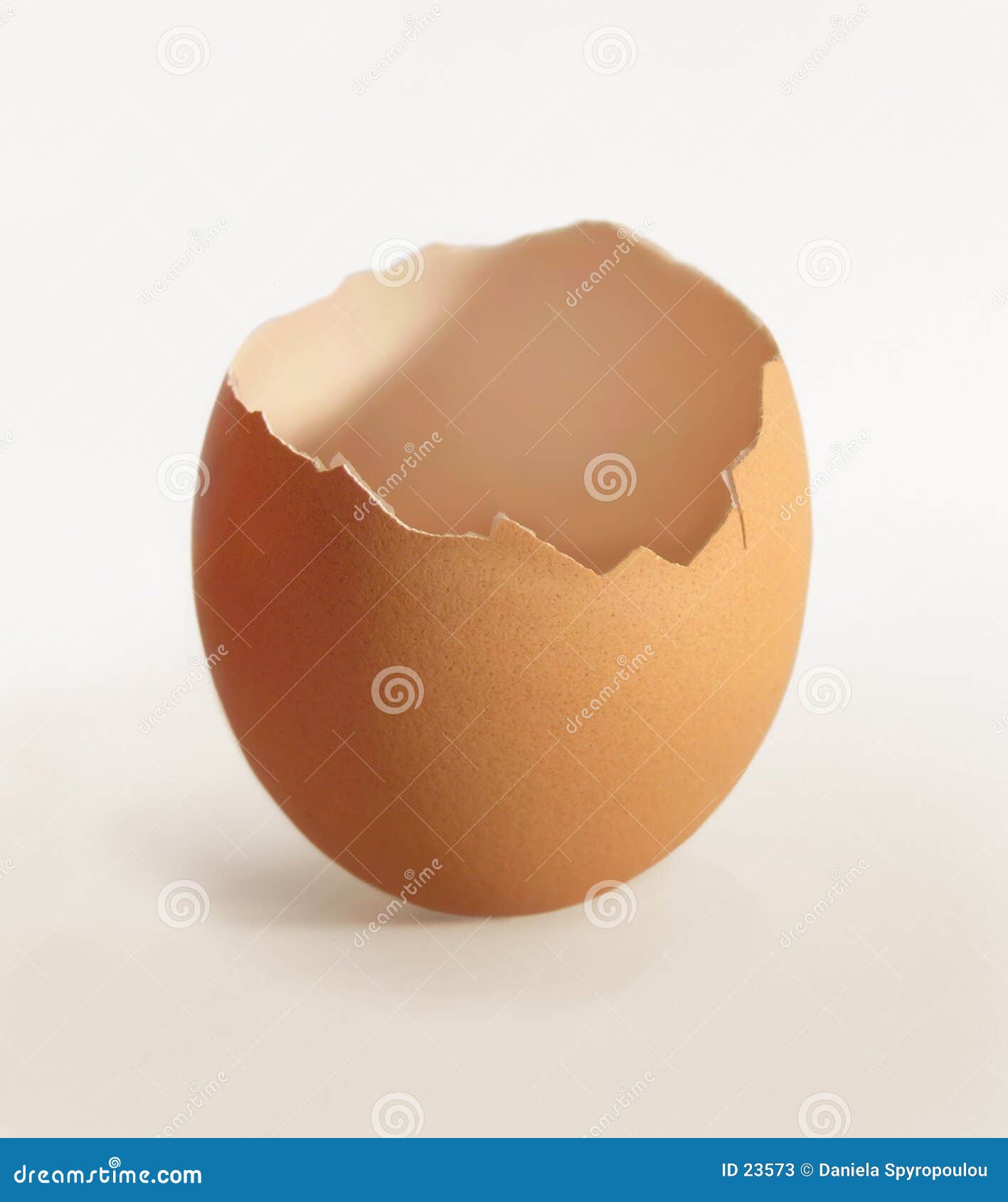 裂开的鸡蛋高清摄影大图-千库网