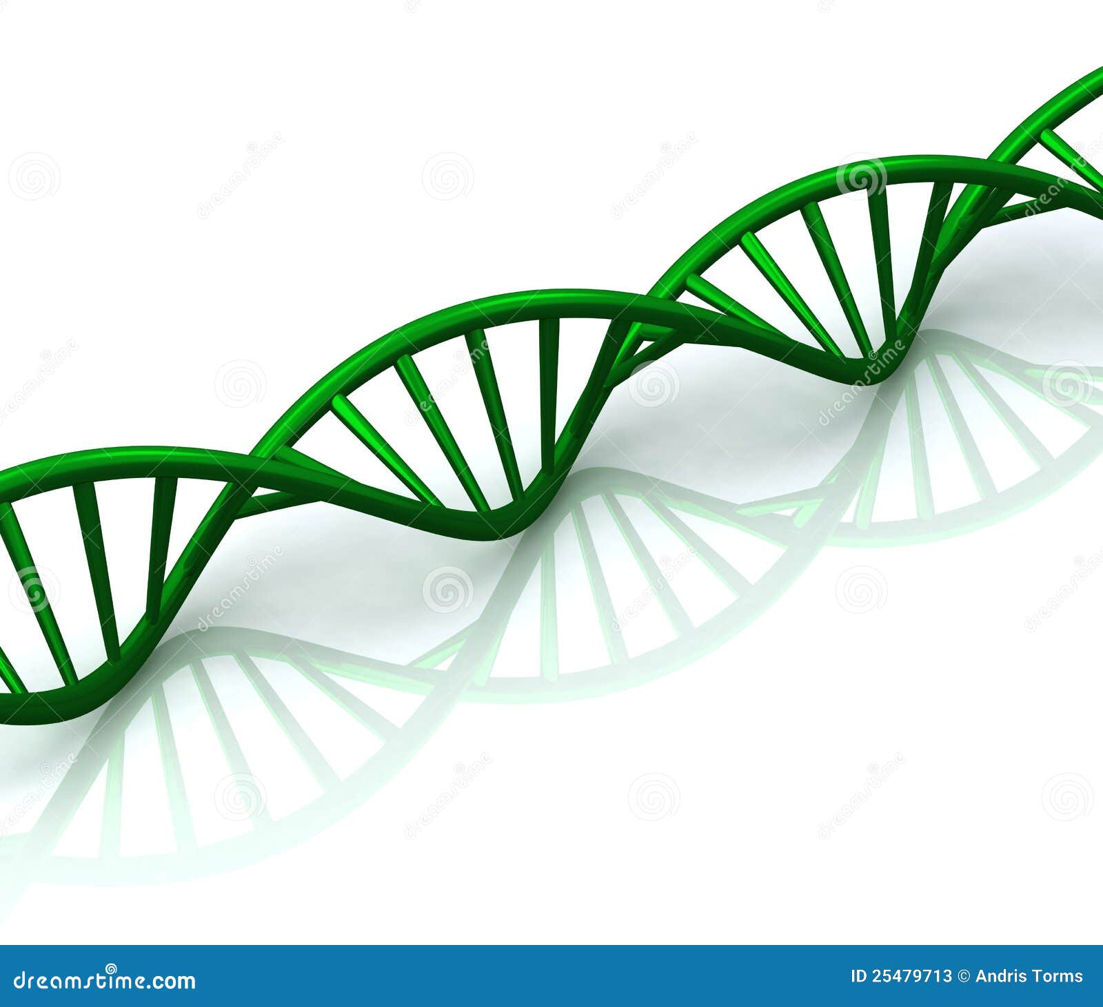 download Growth and Variation