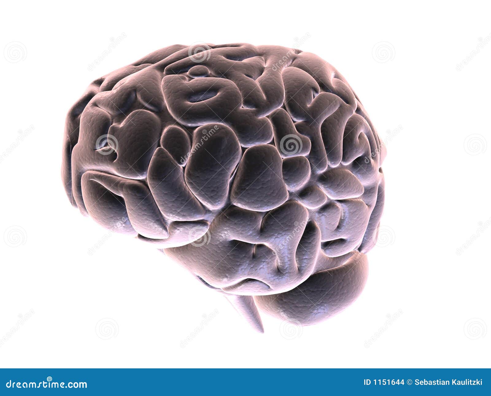 3d Brain Stock Illustrations – 68,252 3d Brain Stock Illustrations, Vectors  & Clipart - Dreamstime