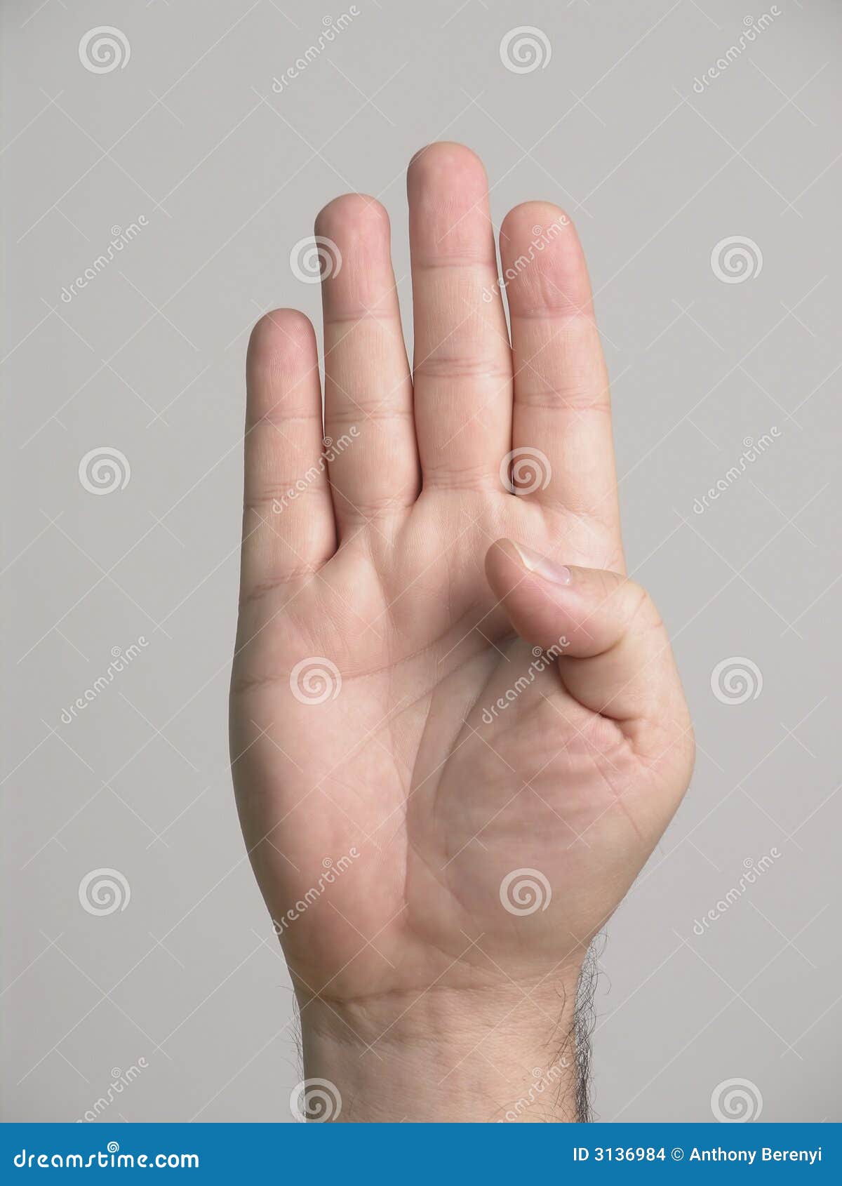 4 fingers 5 stock photo. Image of finger, quantity, fingers 3136984