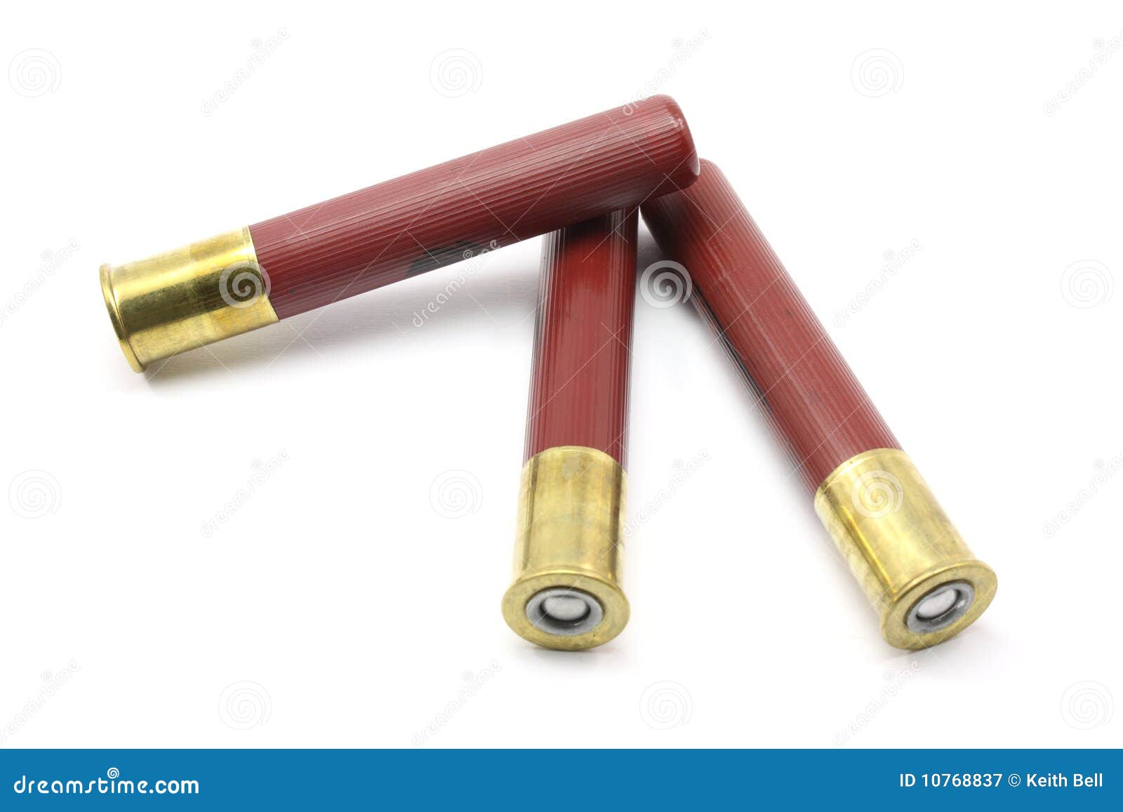 410 Shot Gun shells stock image. Image of hunting, ammunition - 10768837