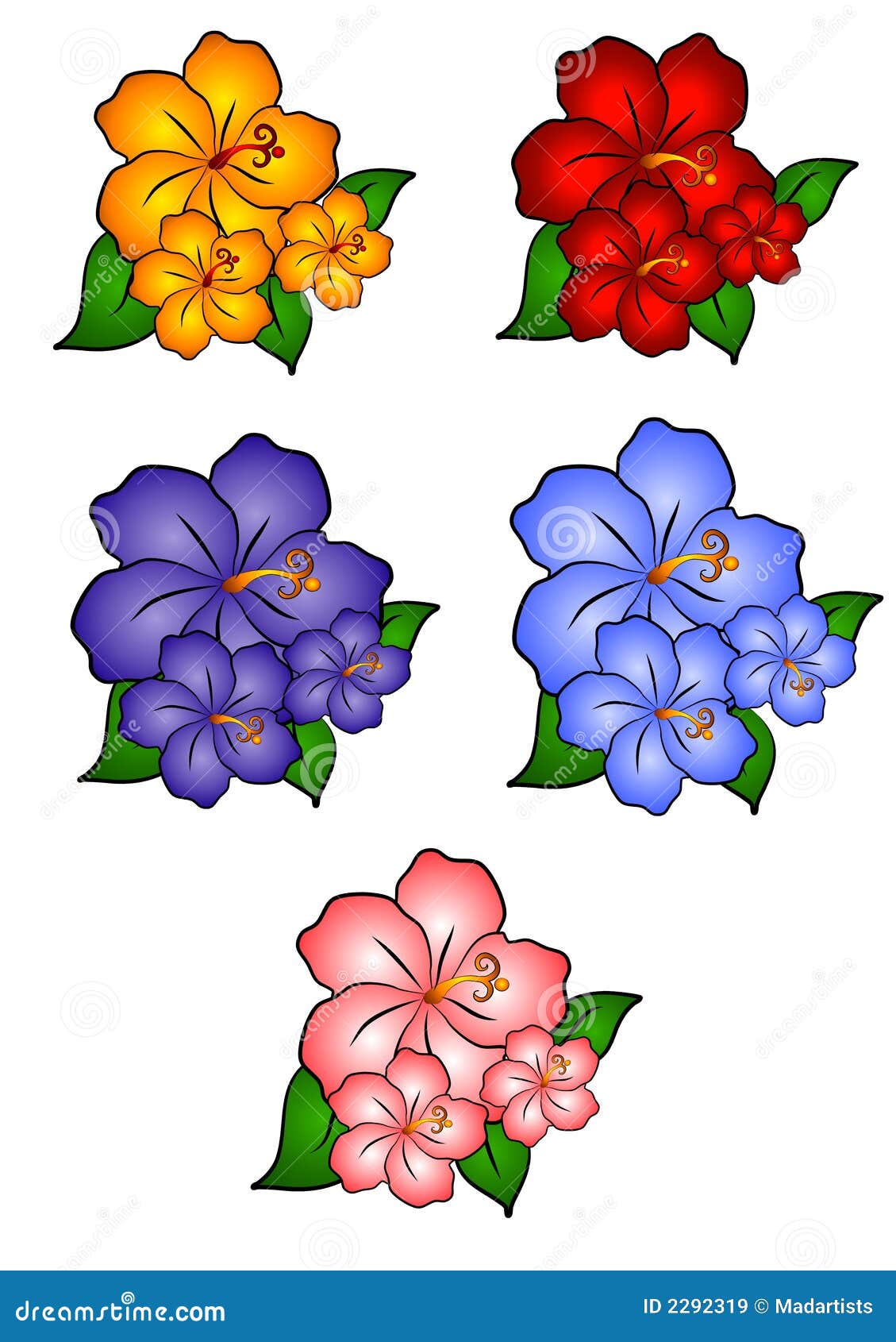 great libera da diritti with disegni di fiori colorati