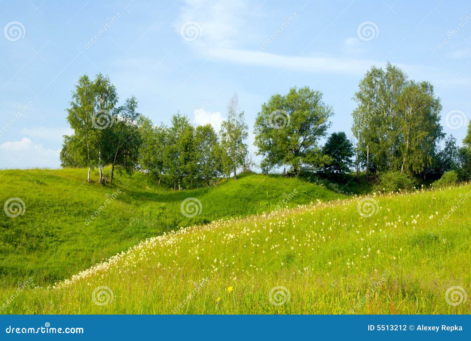 5 голубых валов неба ландшафта травы. голубые валы неба ландшафта травы