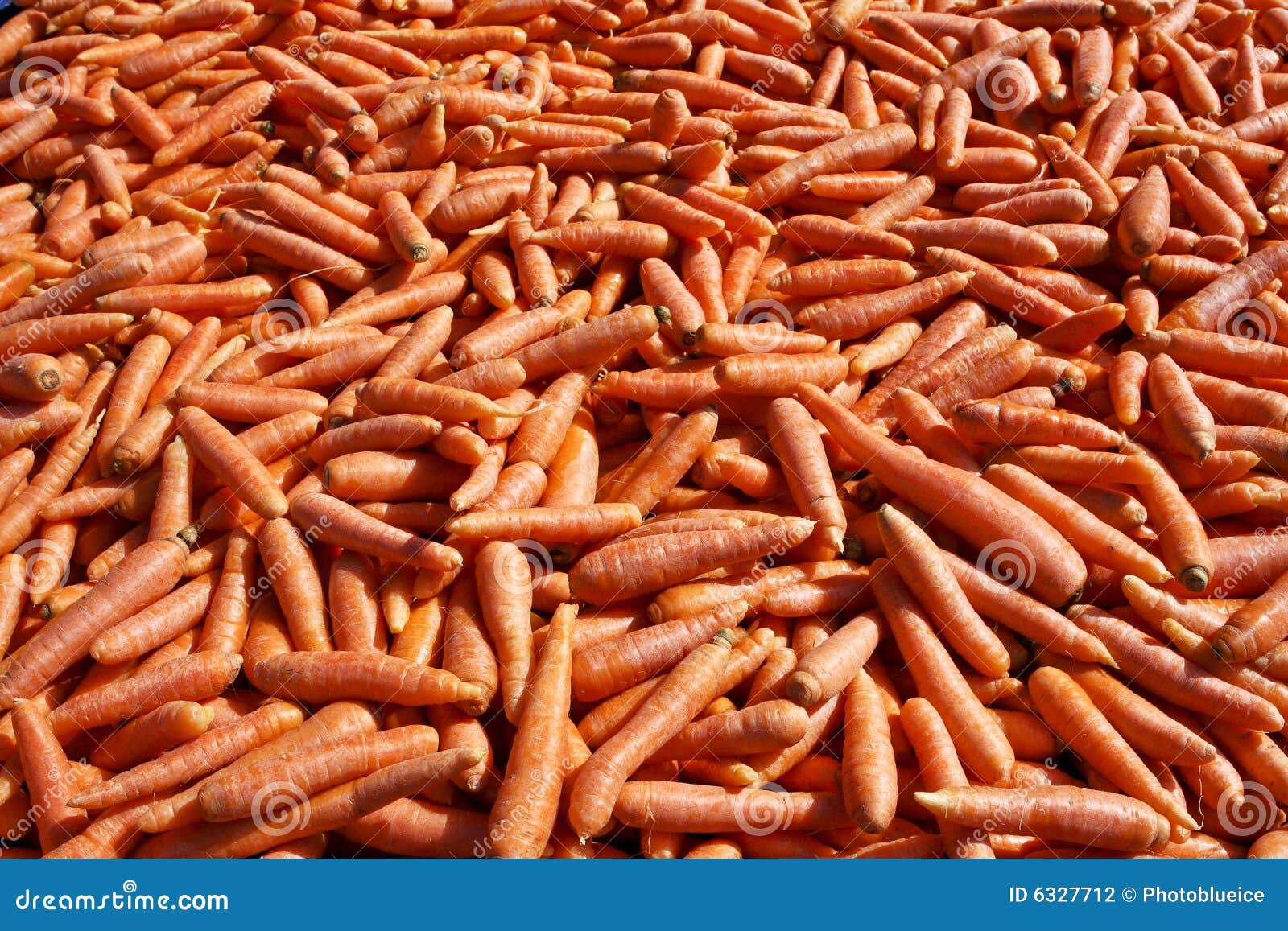501 Carrots bulk stock photo. Image of lots, food, umbelliferae 6327712