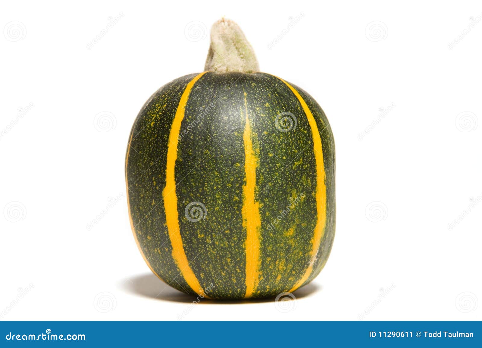 8 Ball Zucchini Stock Photos Free & RoyaltyFree Stock Photos from