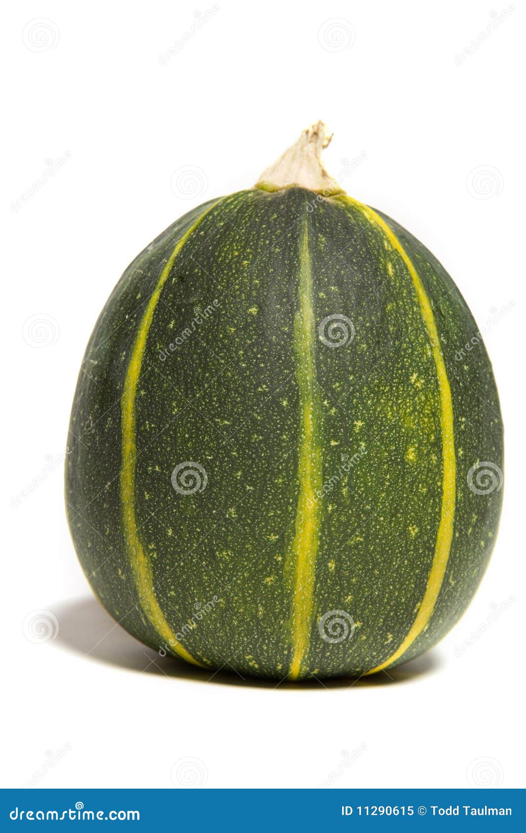 8Ball Zucchini stock image. Image of yellow, produce 11290615