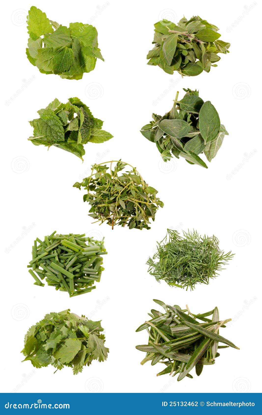 9 Herbs stock photo. Image of collage, herbal, oregano 25132462