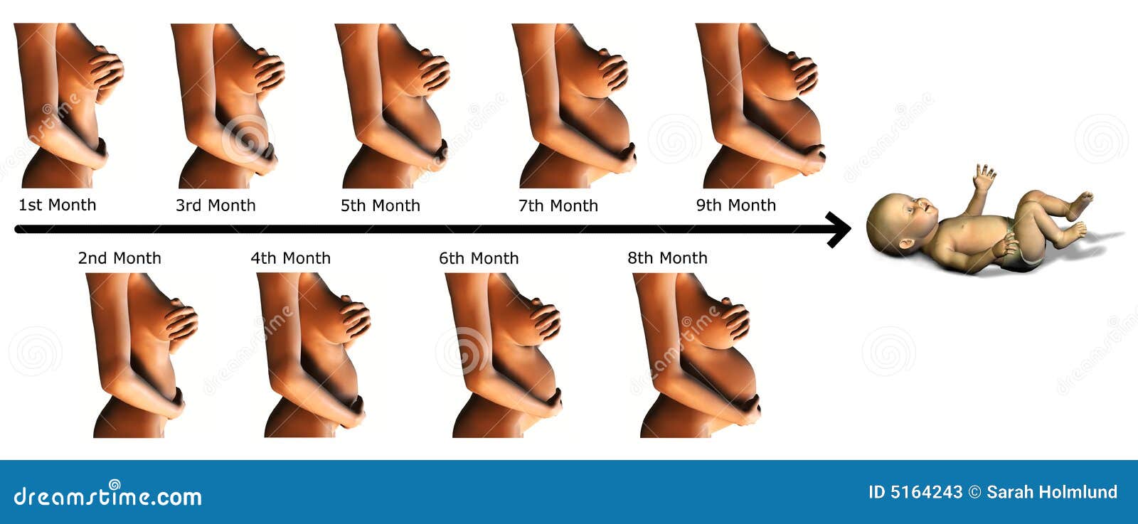 На каком сроке набухает молочная железа