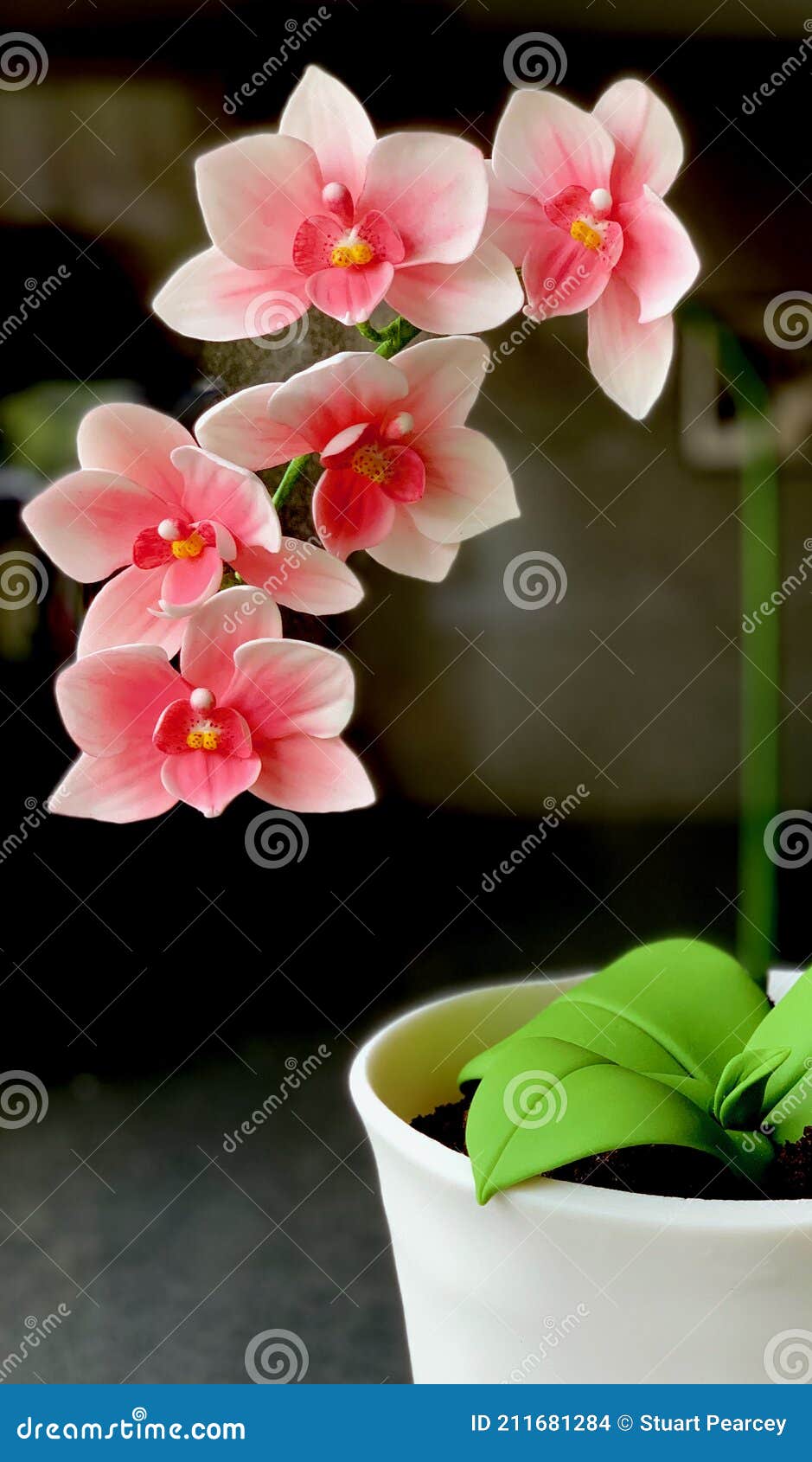 Açúcar Comestível Flores De Orquídeas Foto de Stock - Imagem de cinco,  pétalas: 211681284