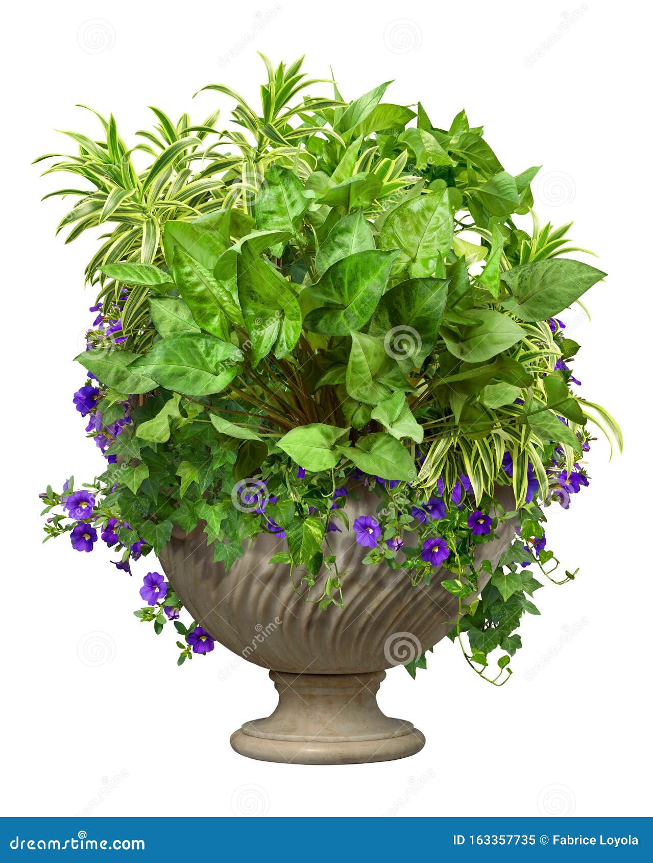 Cut Out Green Plant in Pot. Stock Image Image of indoor, nature