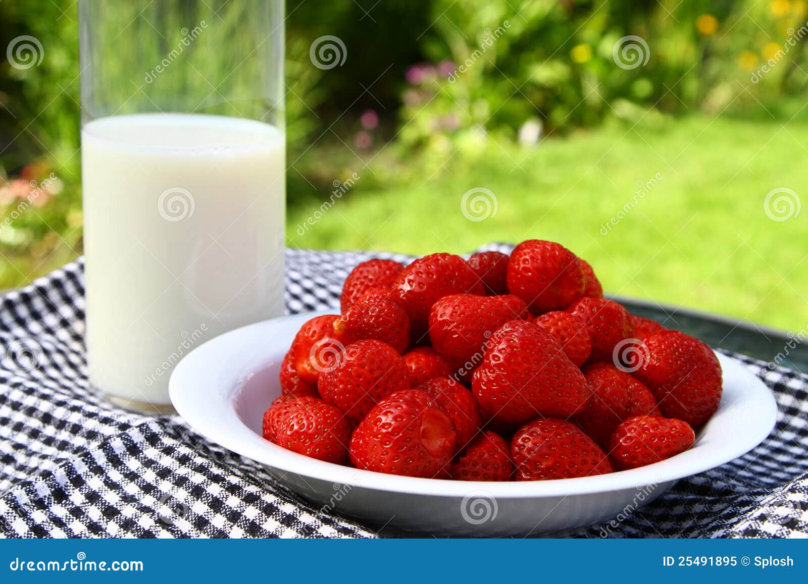 Aardbei en melk. Een plaat die met aardbeien wordt gevuld en een fles melk op een lijst buiten op een aardige zonnige dag.