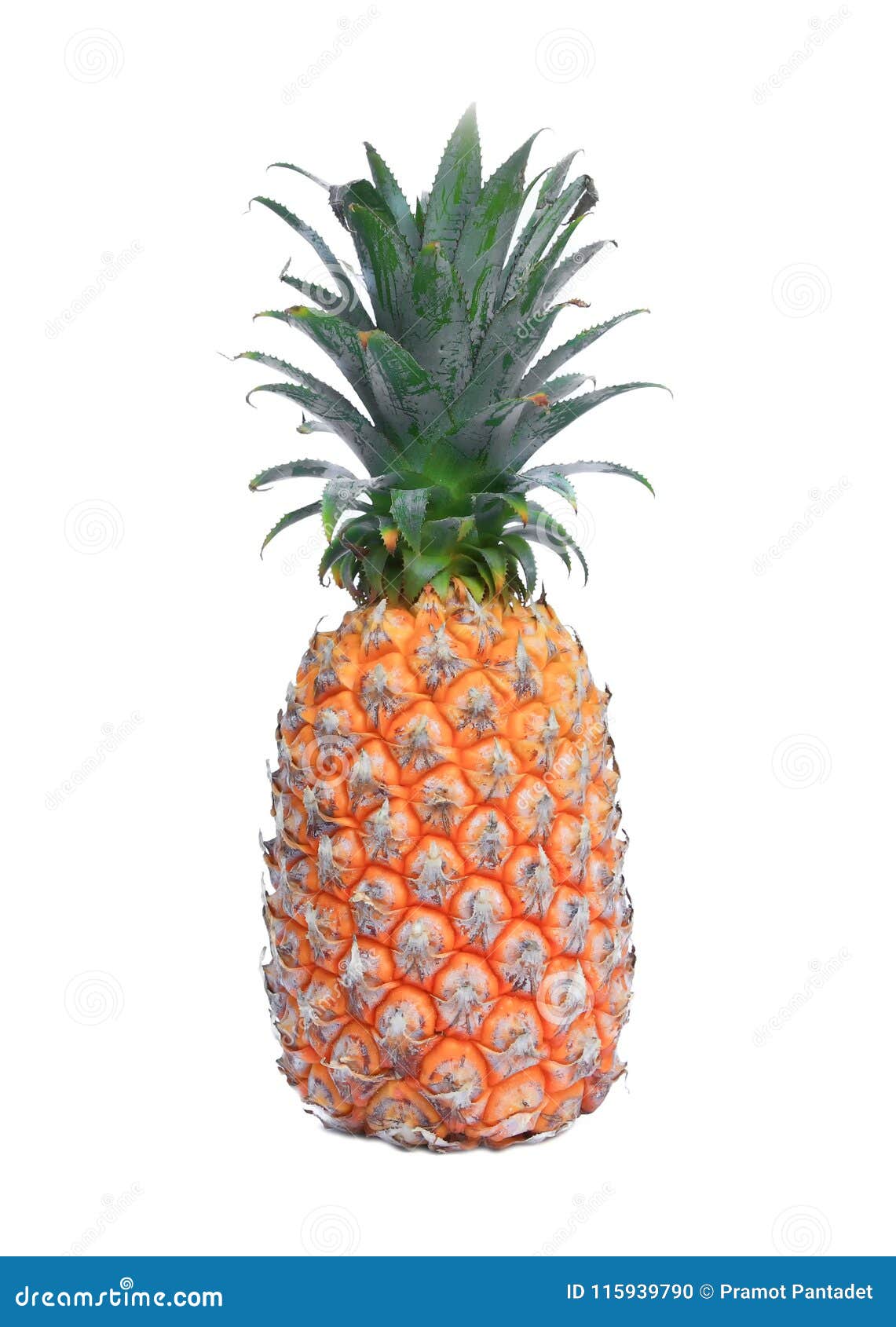 Abacaxi Maduro Sobre Fundo Branco Foto de Stock - Imagem de gourmet,  refrescamento: 115939790, image size:1141x1690