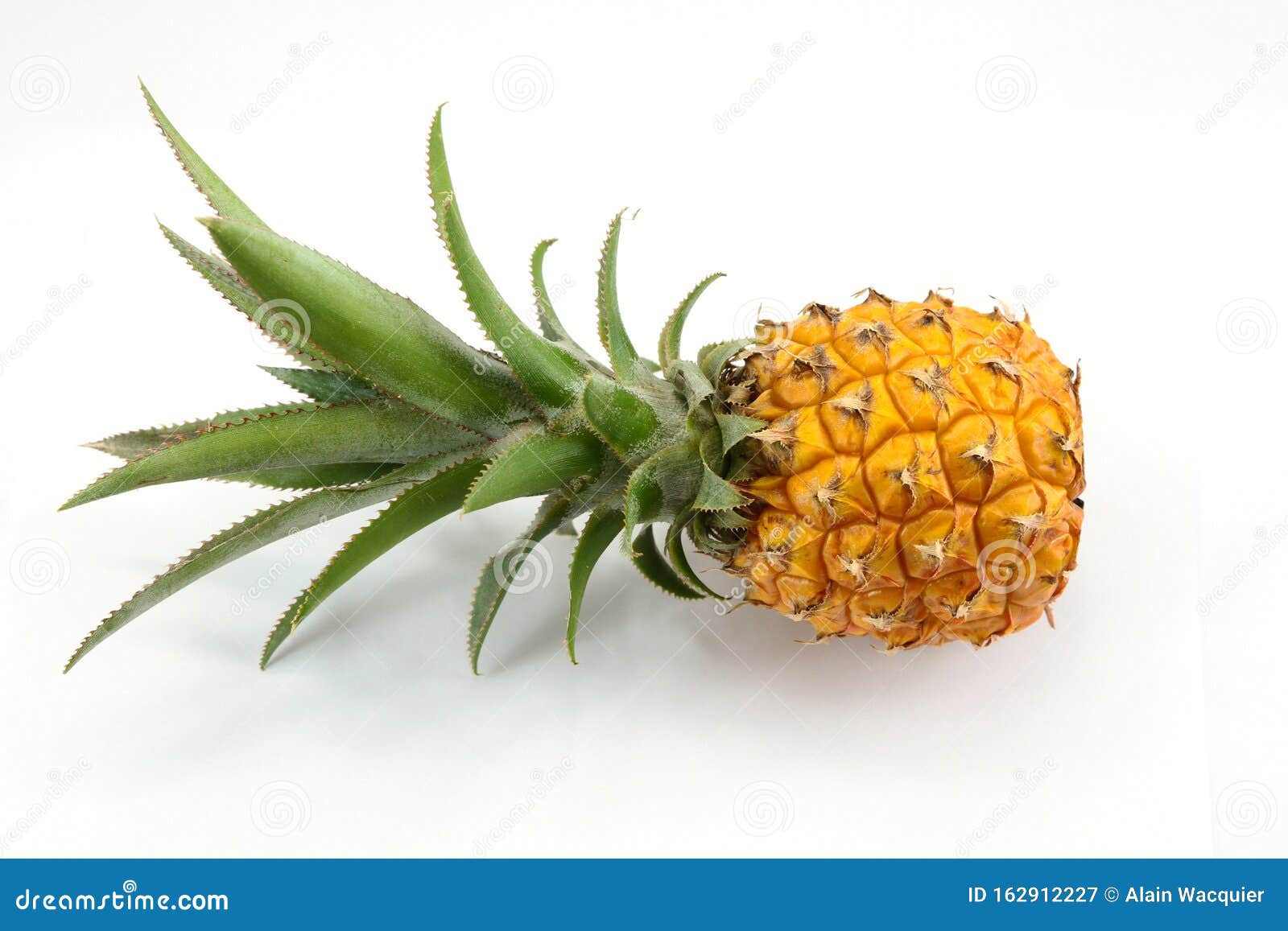 Summer Seamless Pattern With Tropical Leaves And Cute Pineapples Stock  Illustration - Download Image Now - iStock, image size:1600x1157