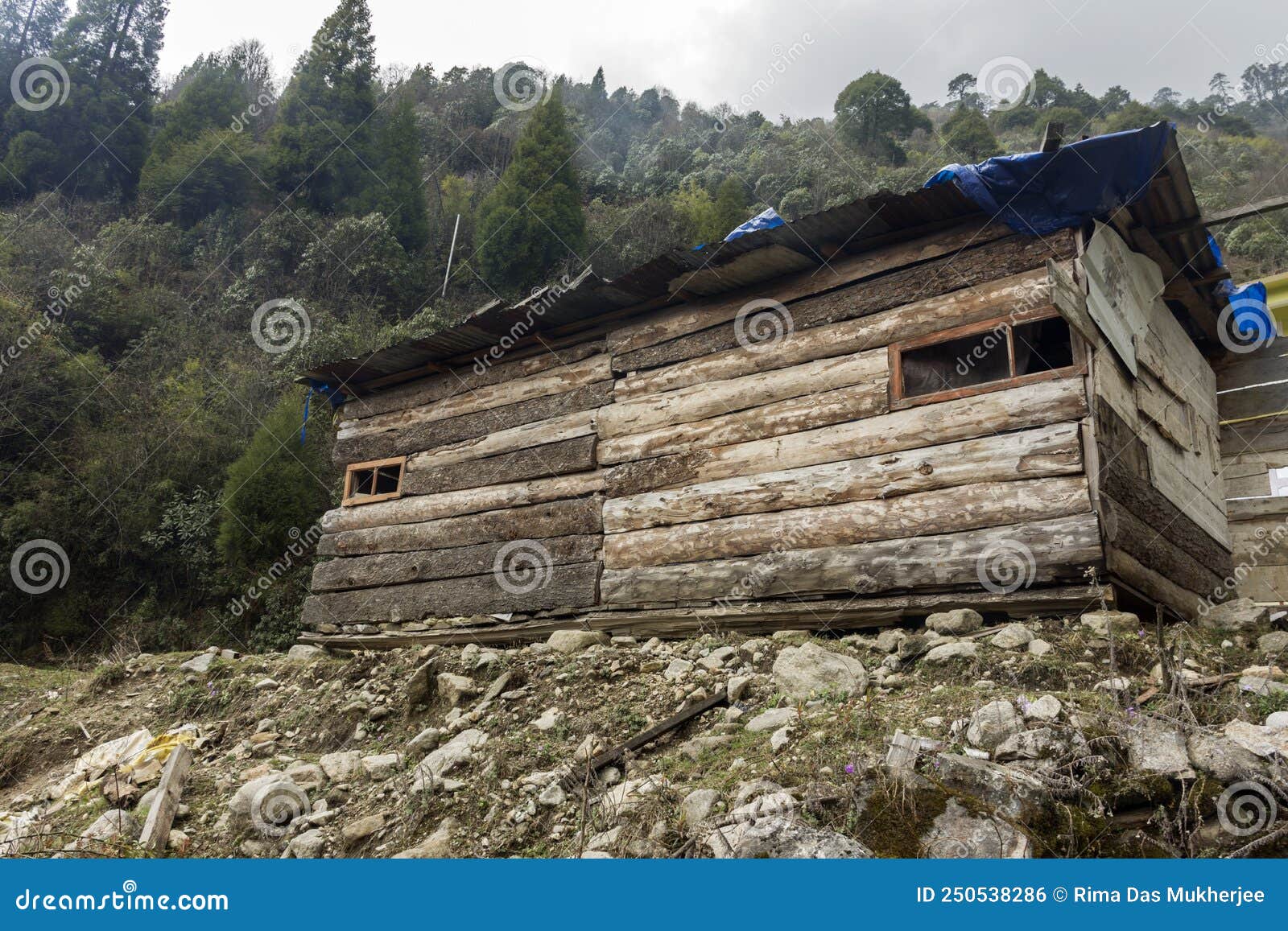 An Abandent Wooden House with Green Forest in Background at Lachung ...