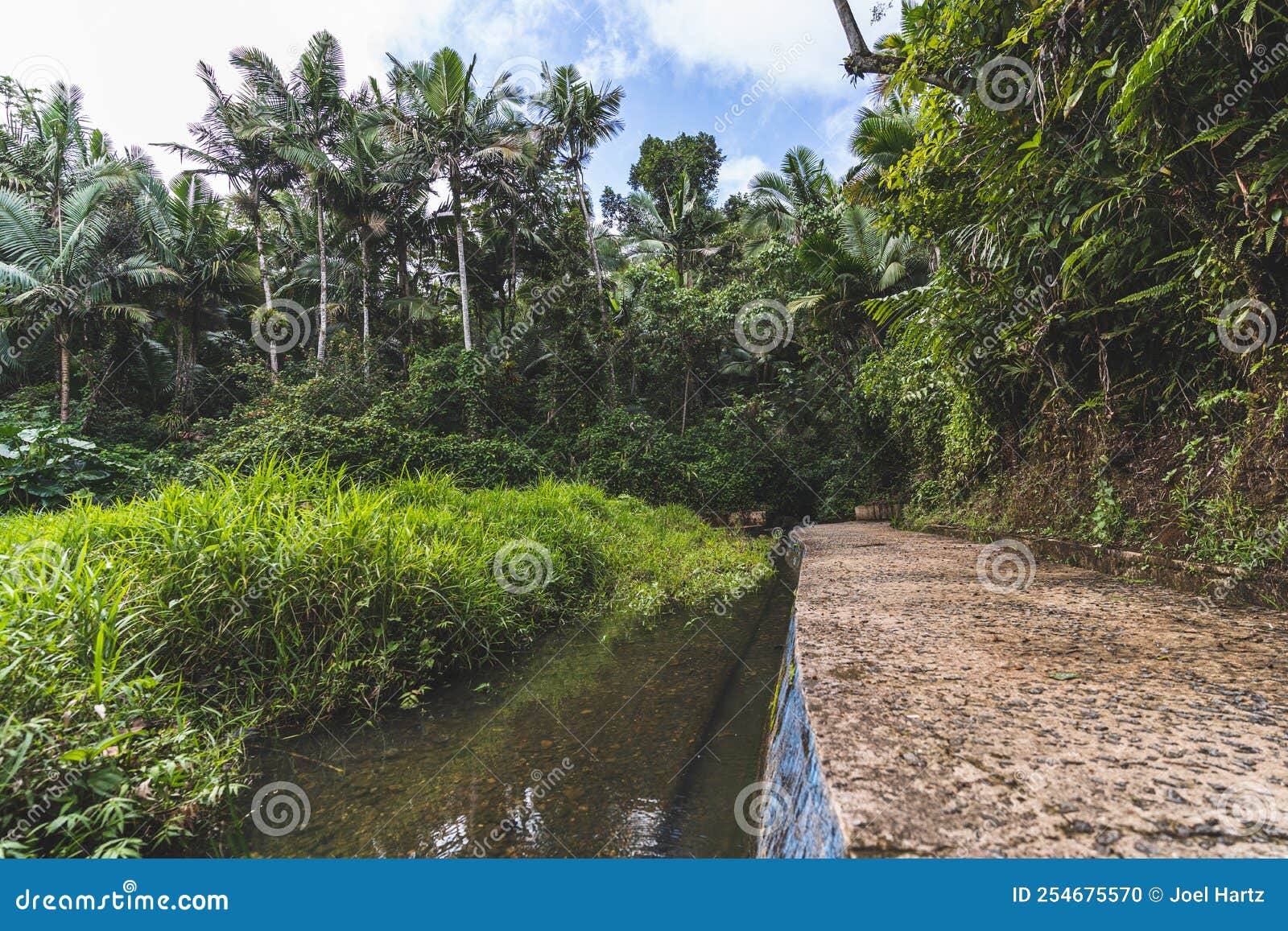 abandon bano oro swim area in el yunque national forest, puerto rico