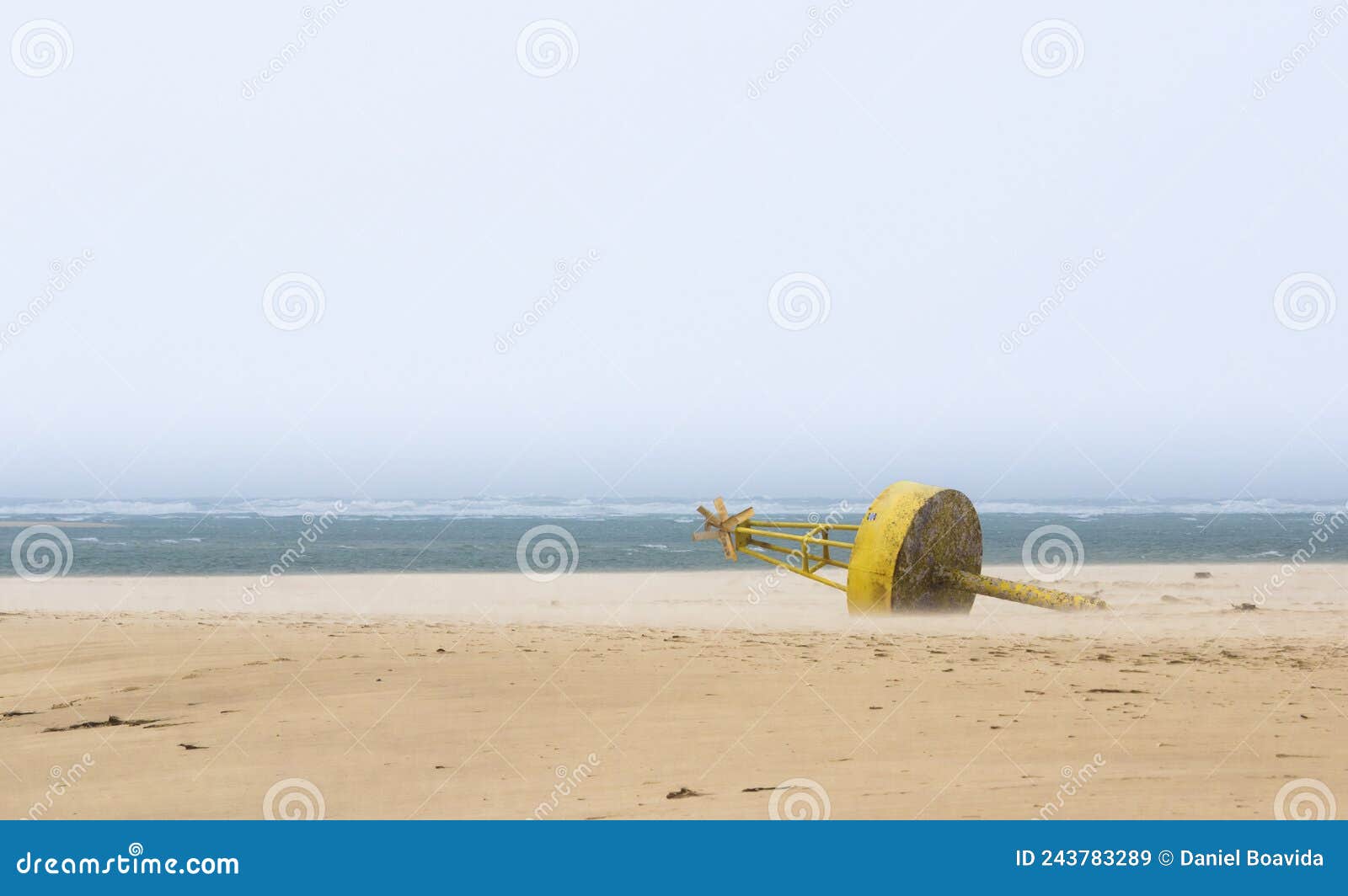 abandon buoy at the beach at armona island coast
