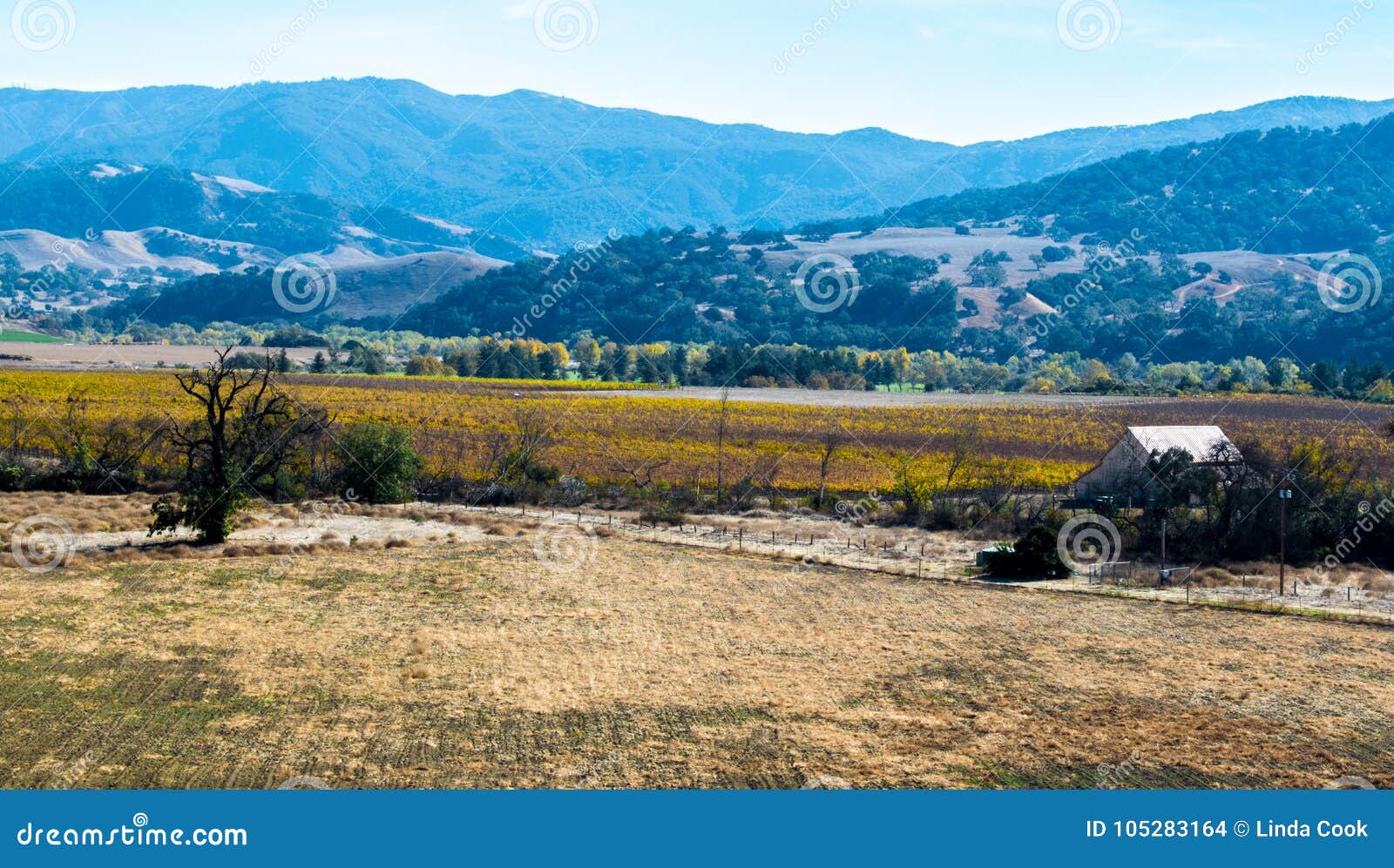 abandoned barn with fallow field near los padres national forest