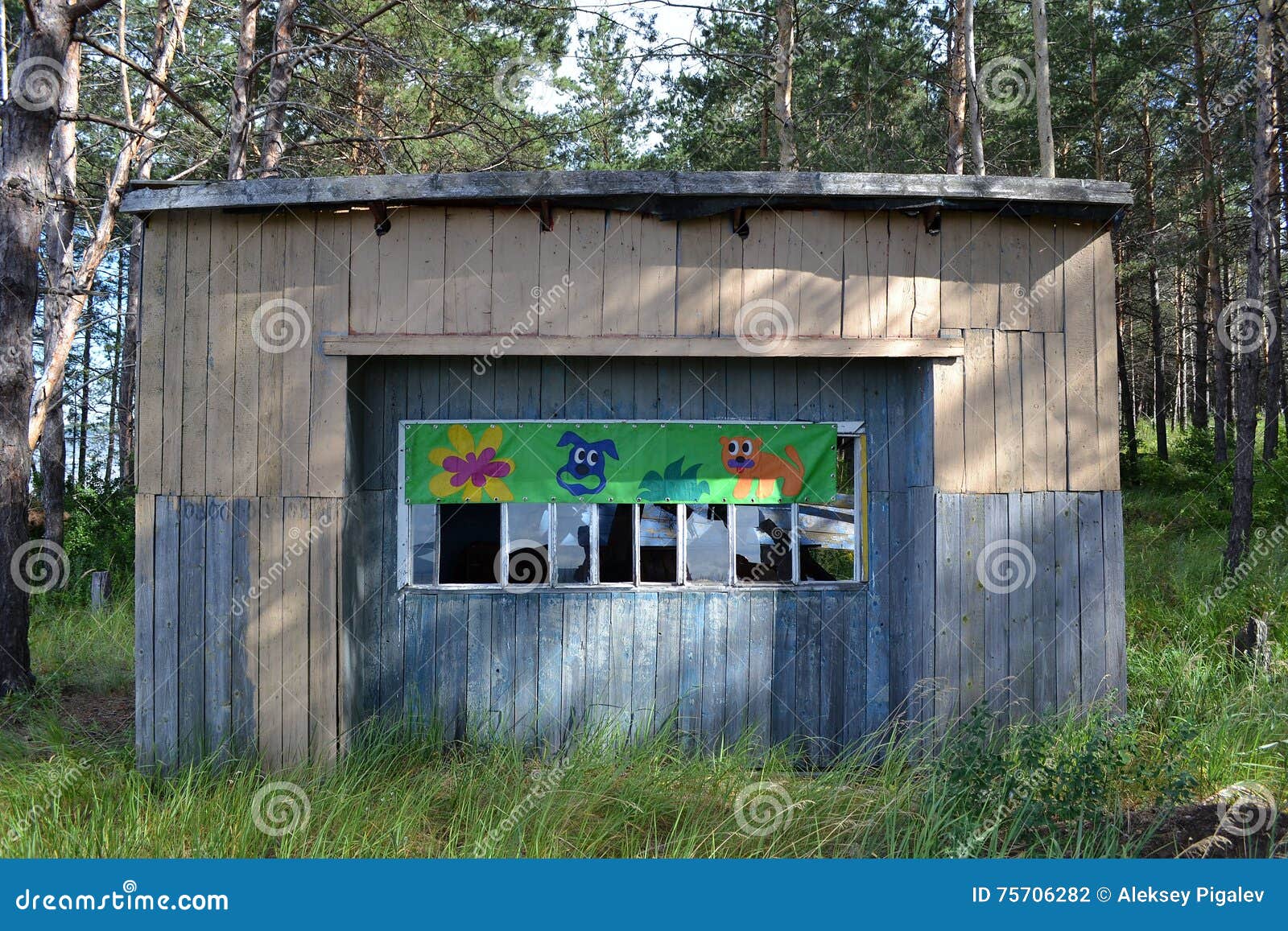 Abandoned Barn In The Woods Stock Photo Image Of Wall Forest