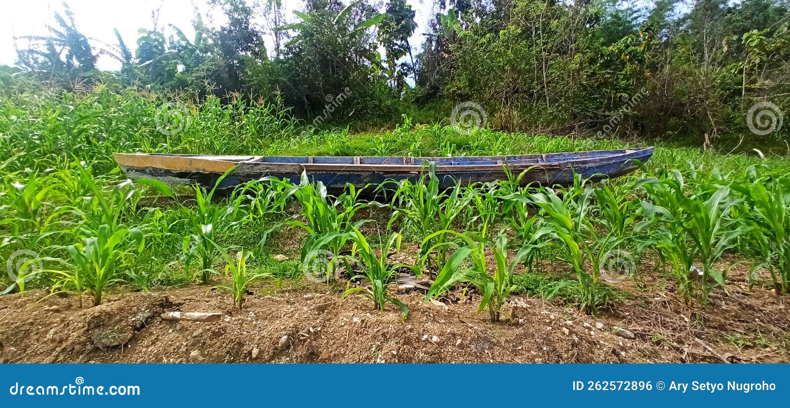 Abandoned Boat on the Shore of the Lake Stock Photo Image of