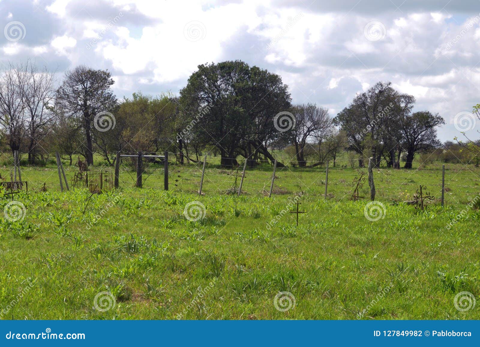 abandoned cemetery