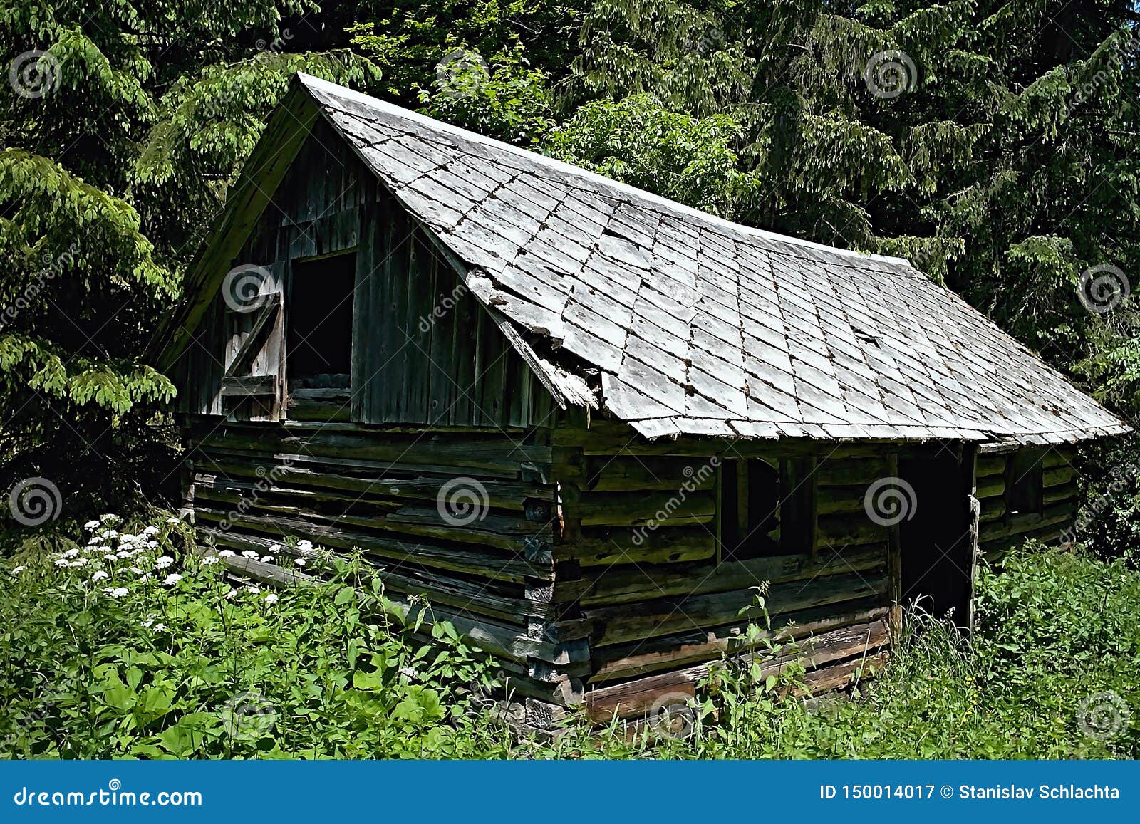 Abandoned Crumbling Hut in the Valley of Cutkovska Valley Stock Image ...